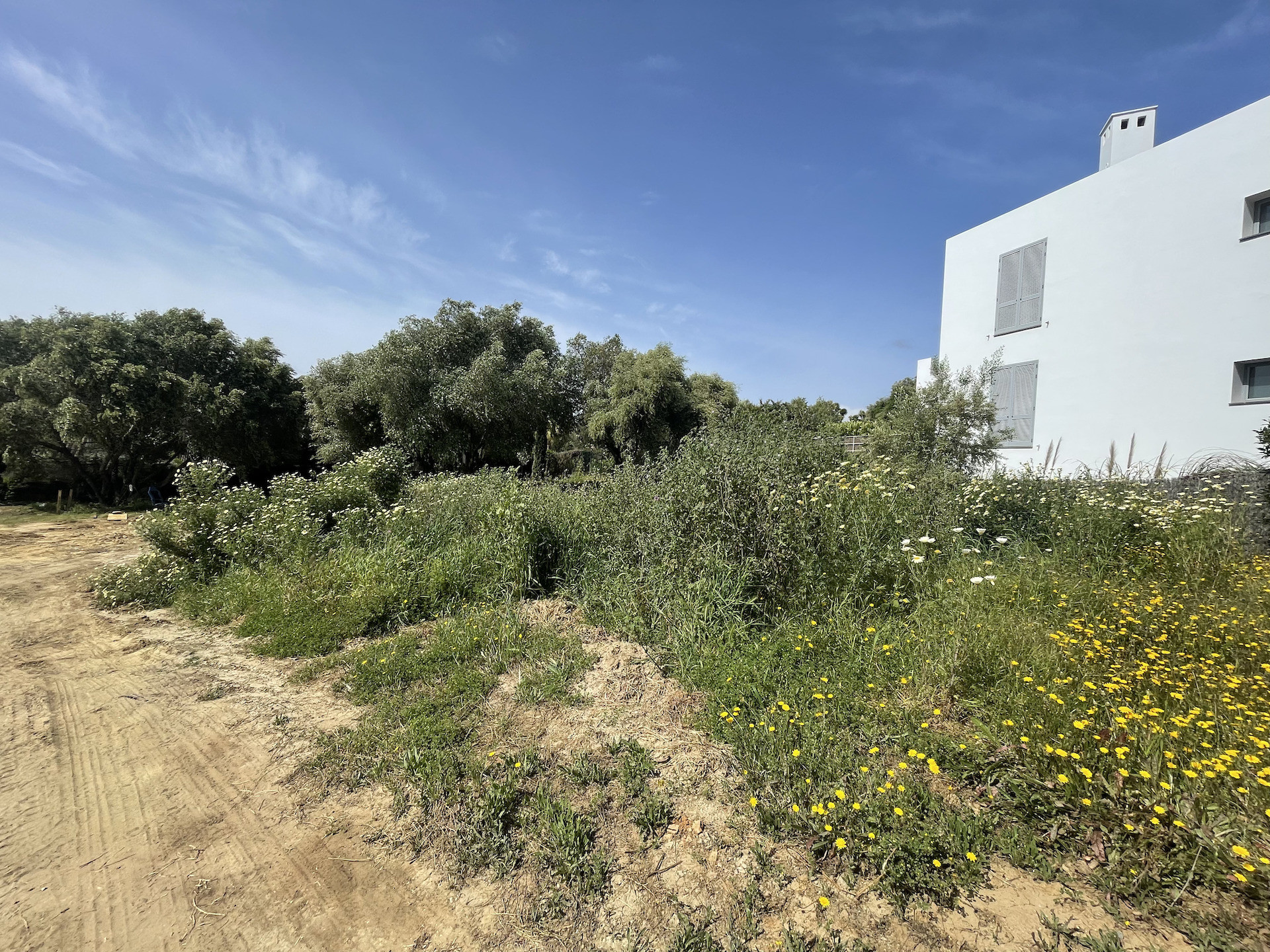 Imagenes Parcela en venta en Sotogrande Alto