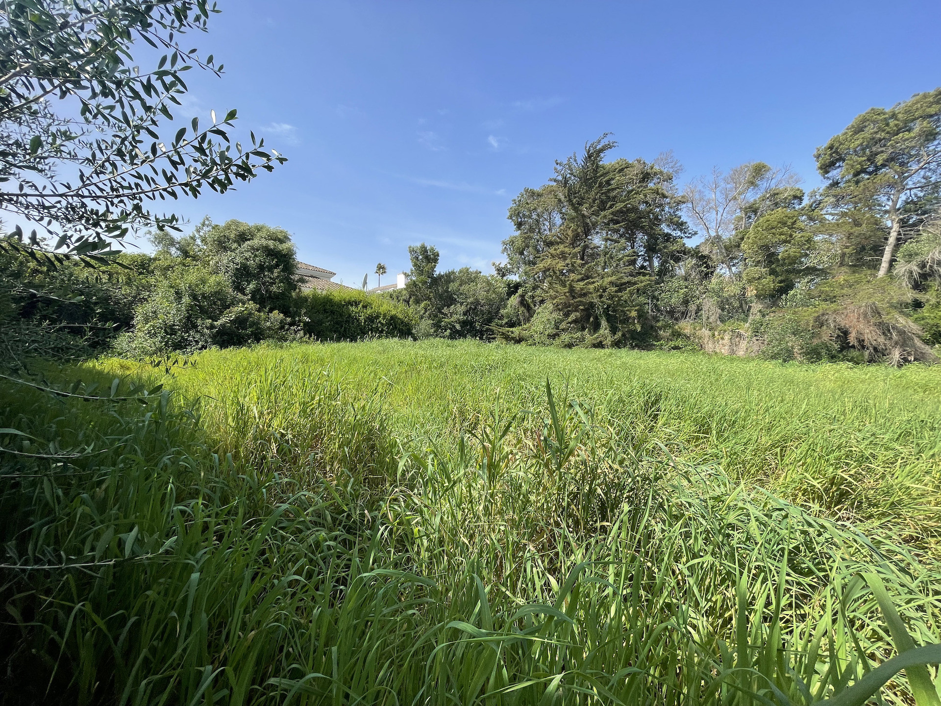 Interiores Parcela en venta en Sotogrande Alto