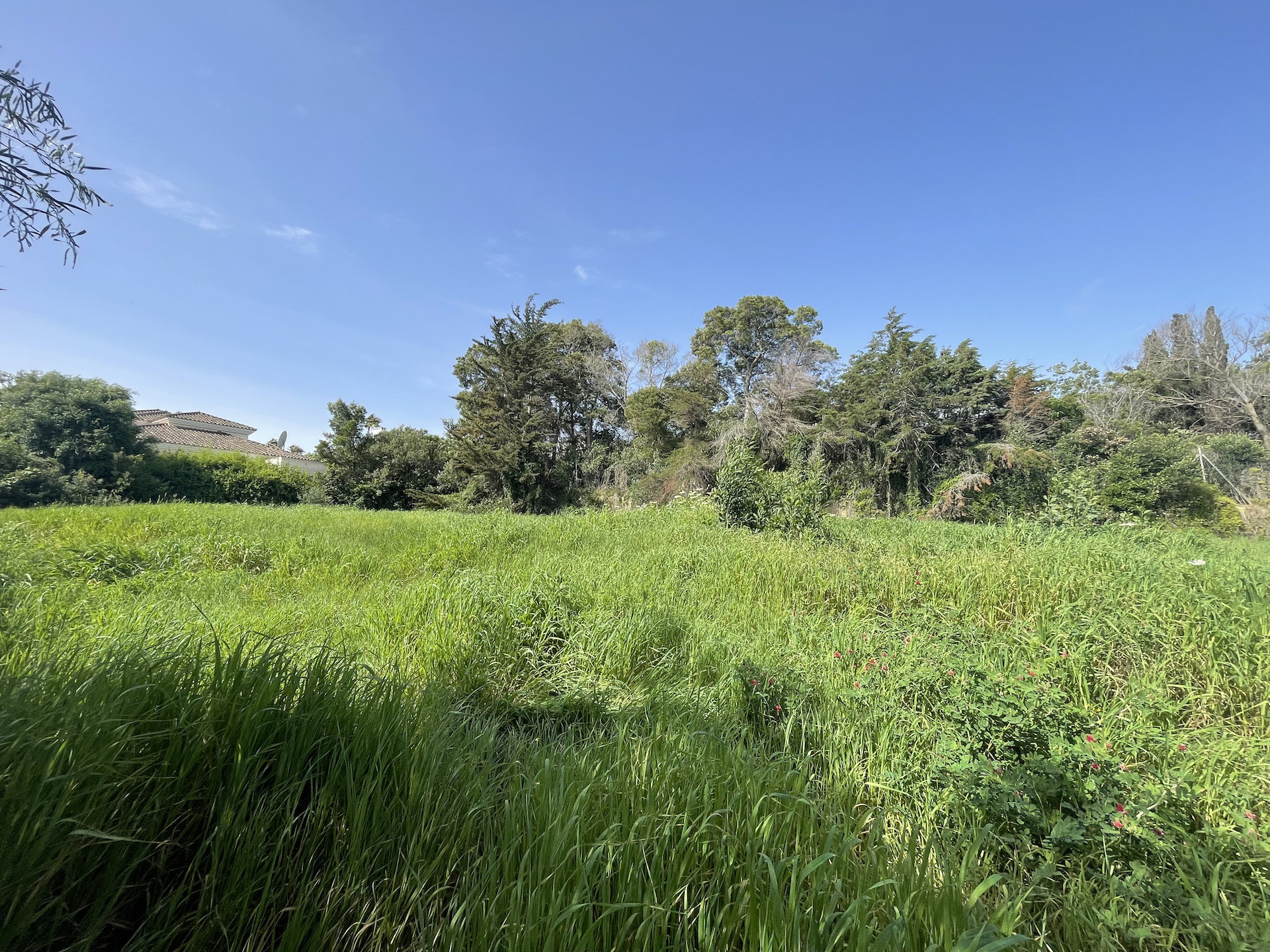 Exterior Parcela en venta en Sotogrande Alto