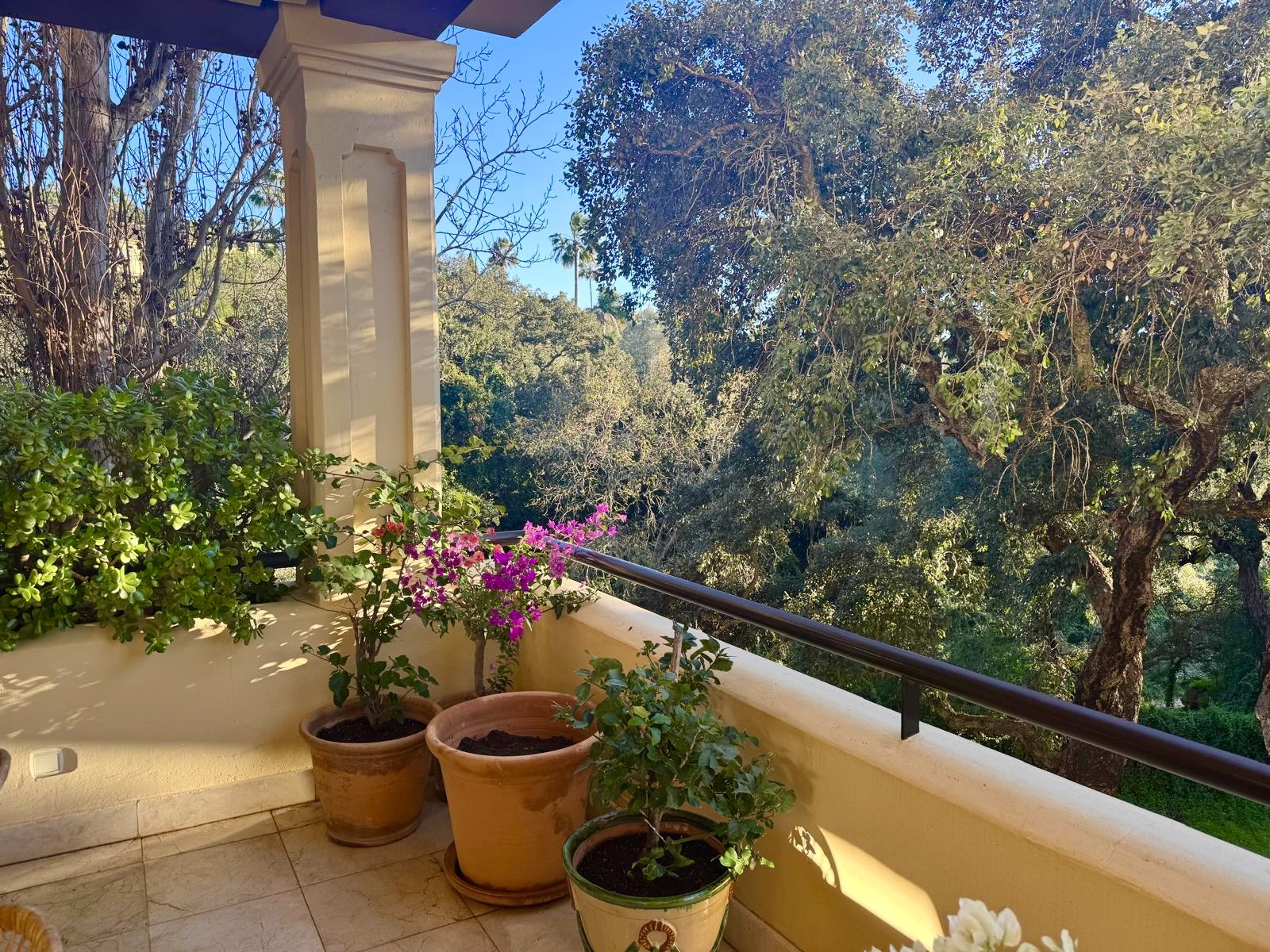 Exterior Apartamento en alquiler vacacional en Sotogrande Alto