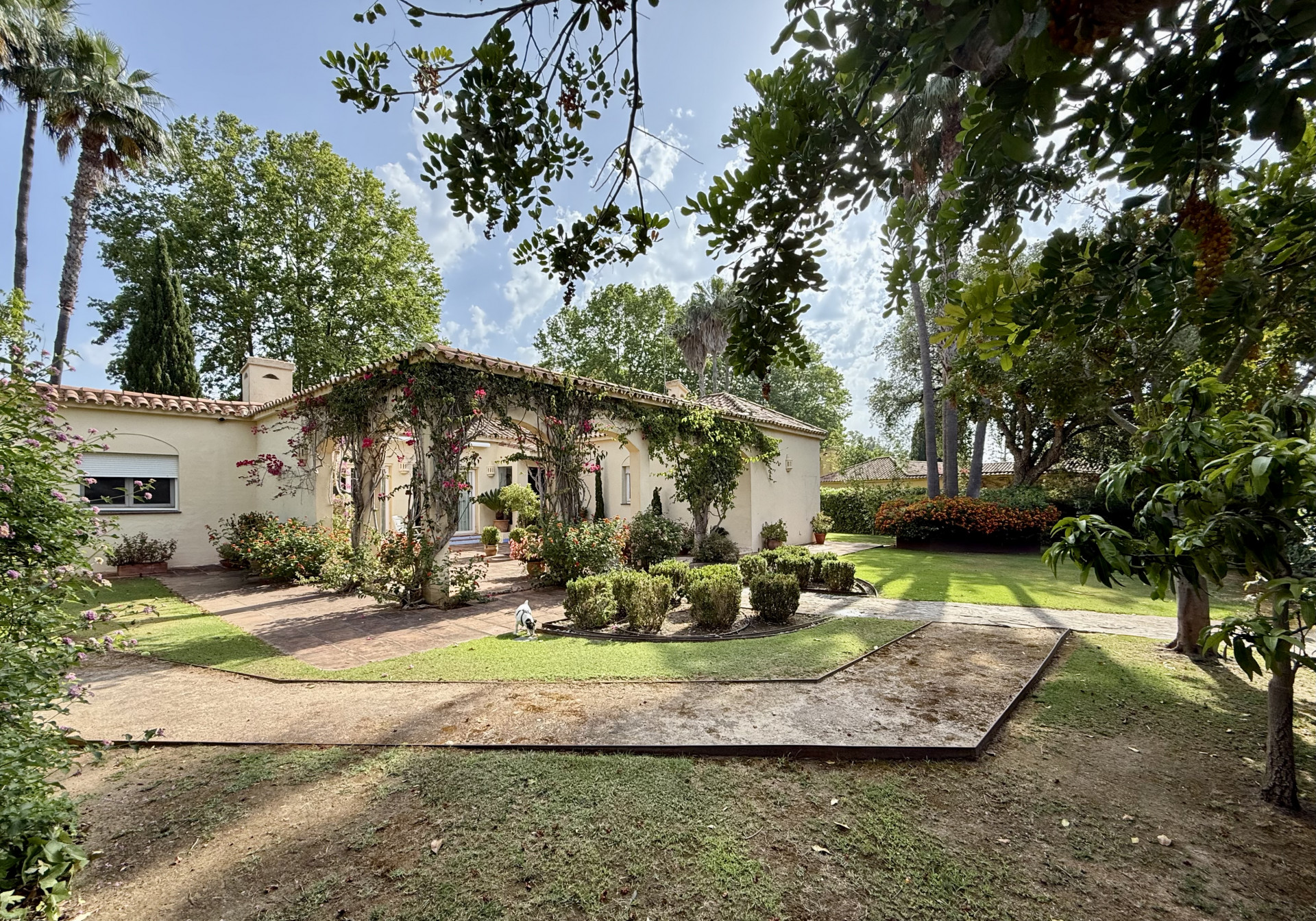 Private andalusian villa near Valderrama, Sotogrande Alto