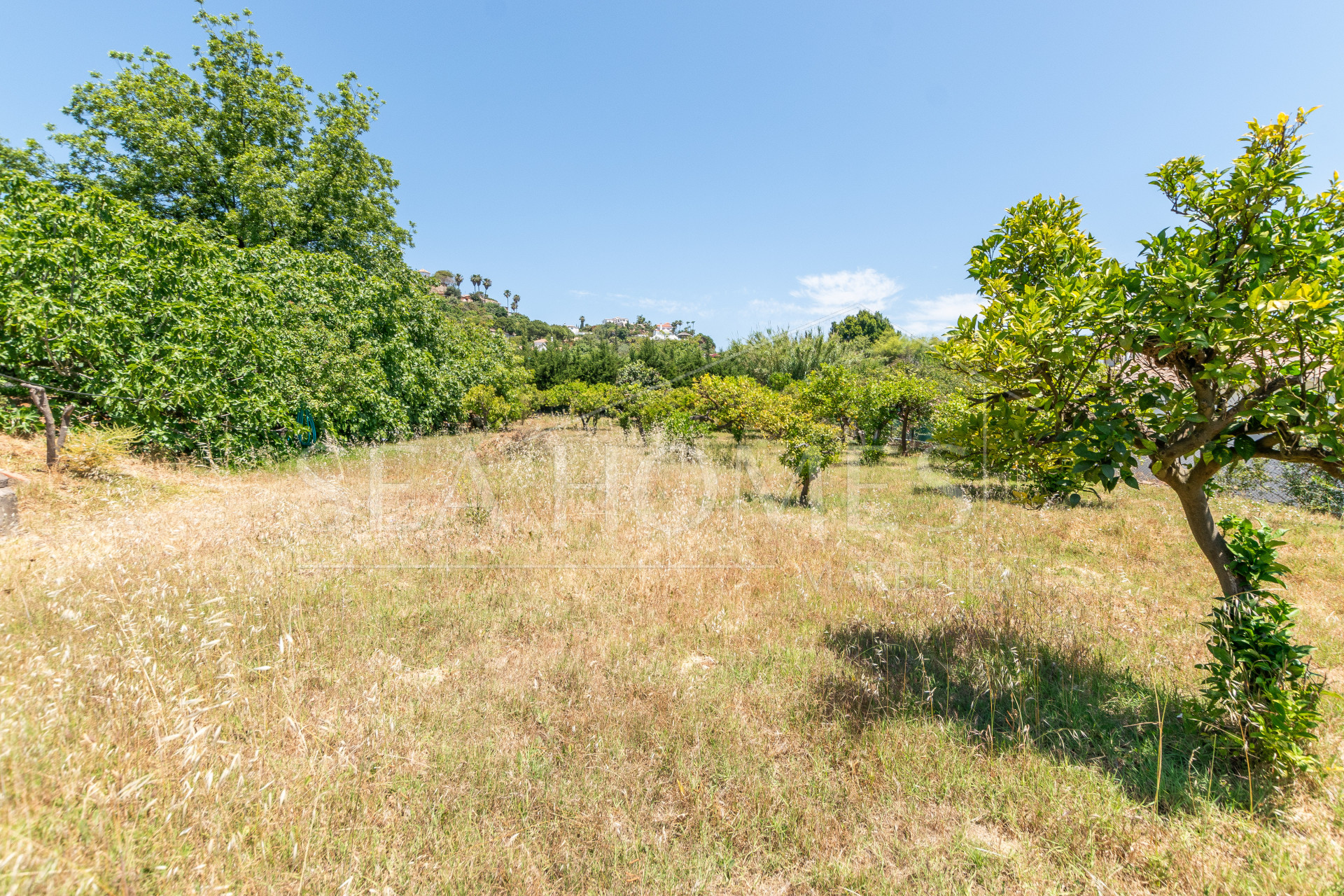 Charming Finca with a beautiful garden