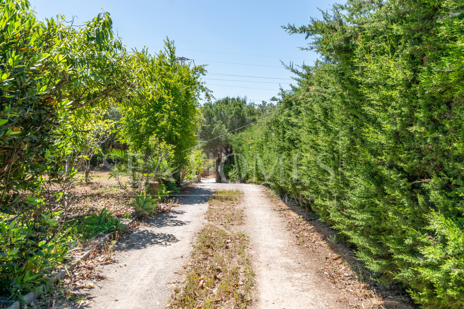 Charming Finca with a beautiful garden