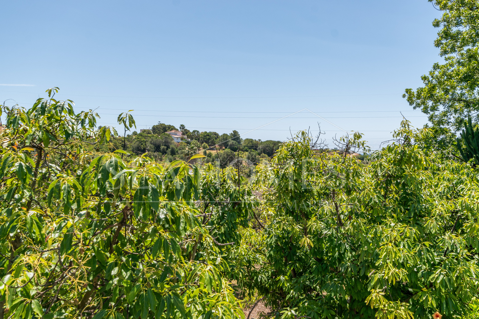 Charming Finca with a beautiful garden