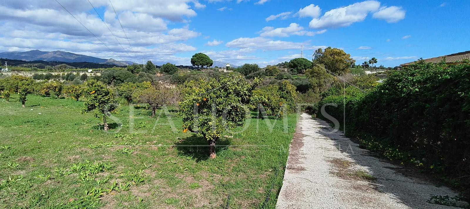 Beautiful, large country villa with beautiful sea views