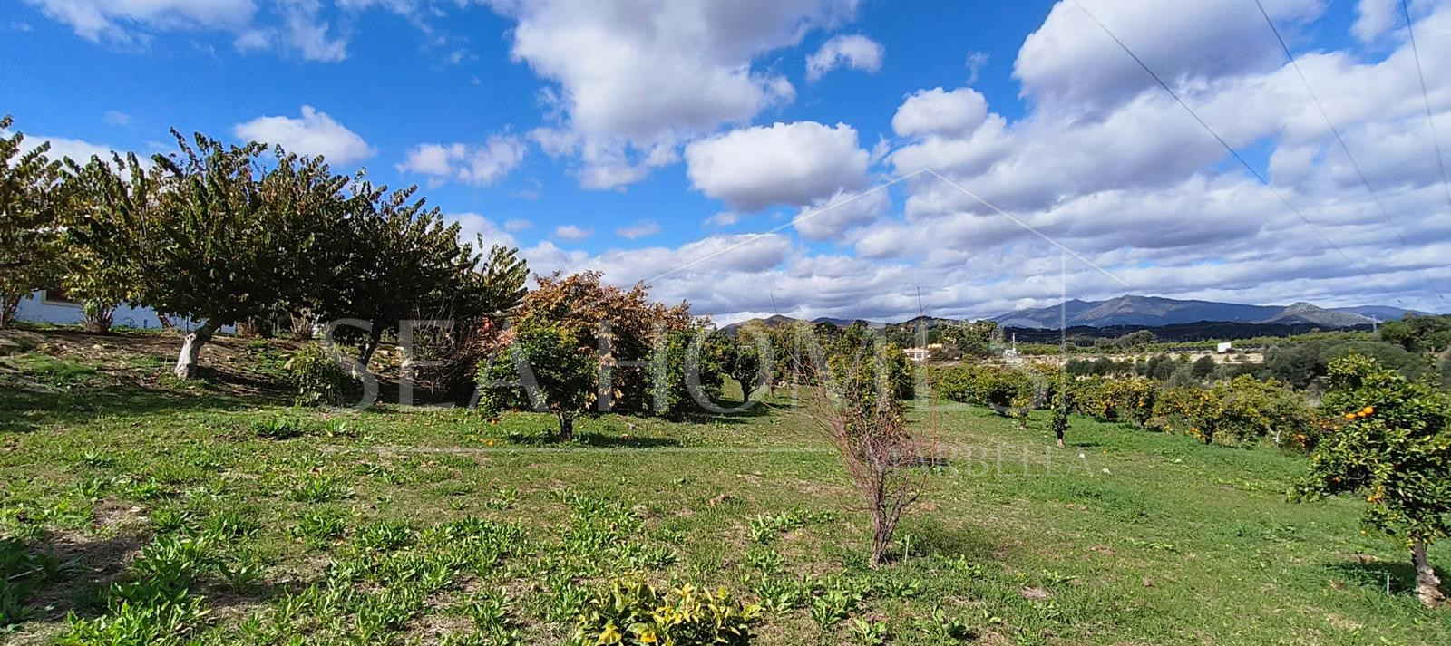 Beautiful, large country villa with beautiful sea views