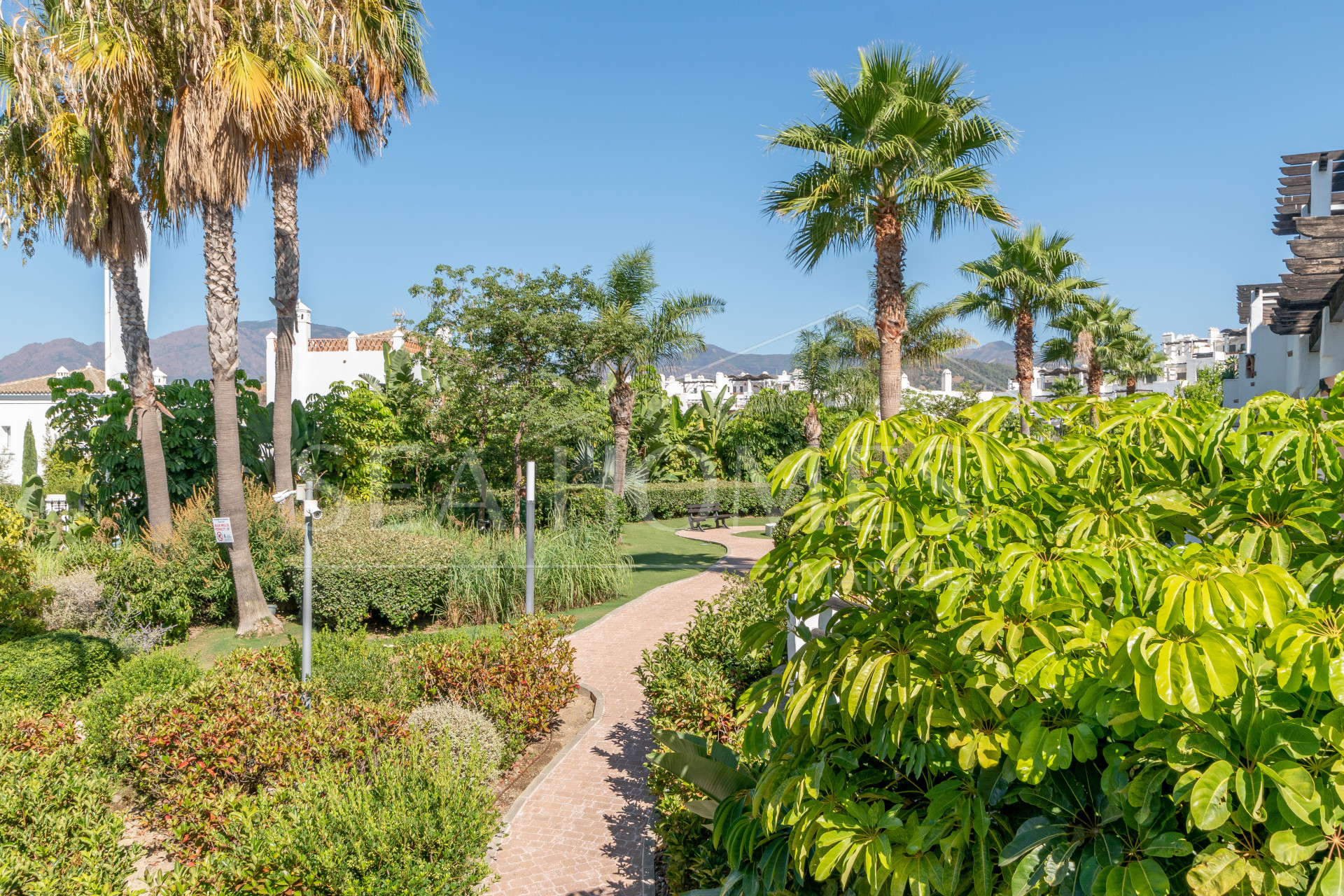 Apartment, terrace, swimming pool, golf, 2 bedrooms, Estepona, La Resina, Selwo.