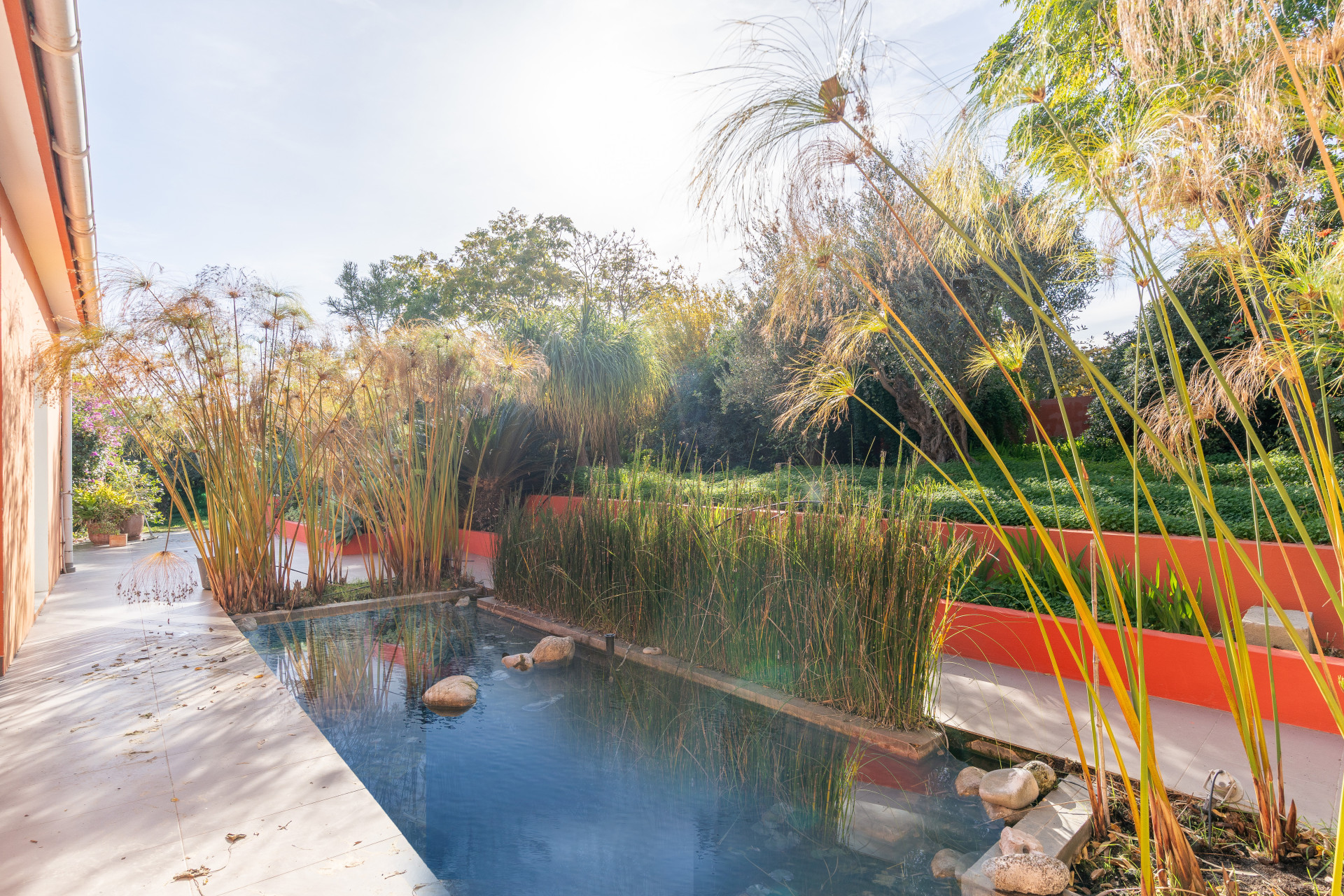 Unique Modern Villa on a Large Plot in Estepona — photo 3