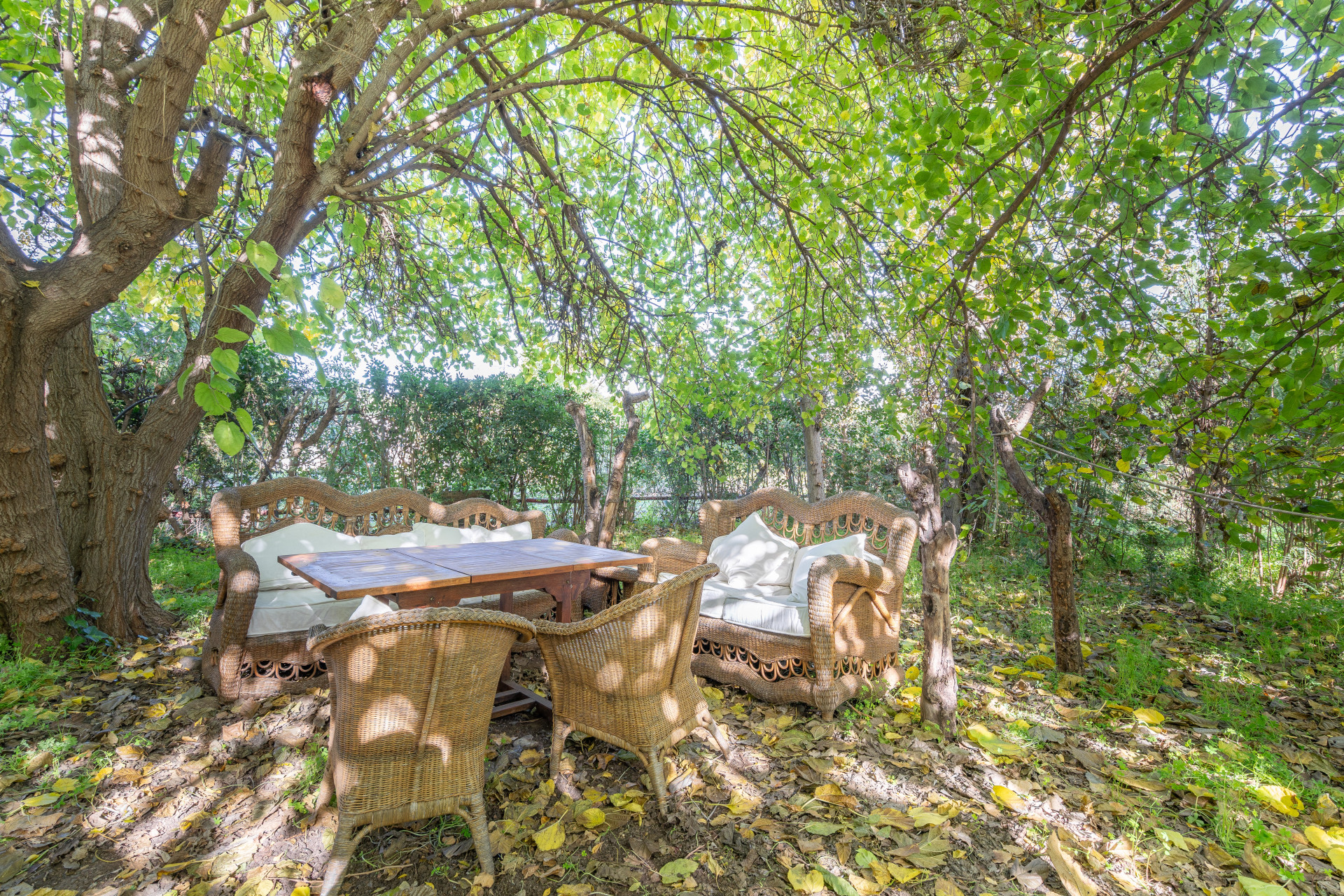Unique Modern Villa on a Large Plot in Estepona — photo 4