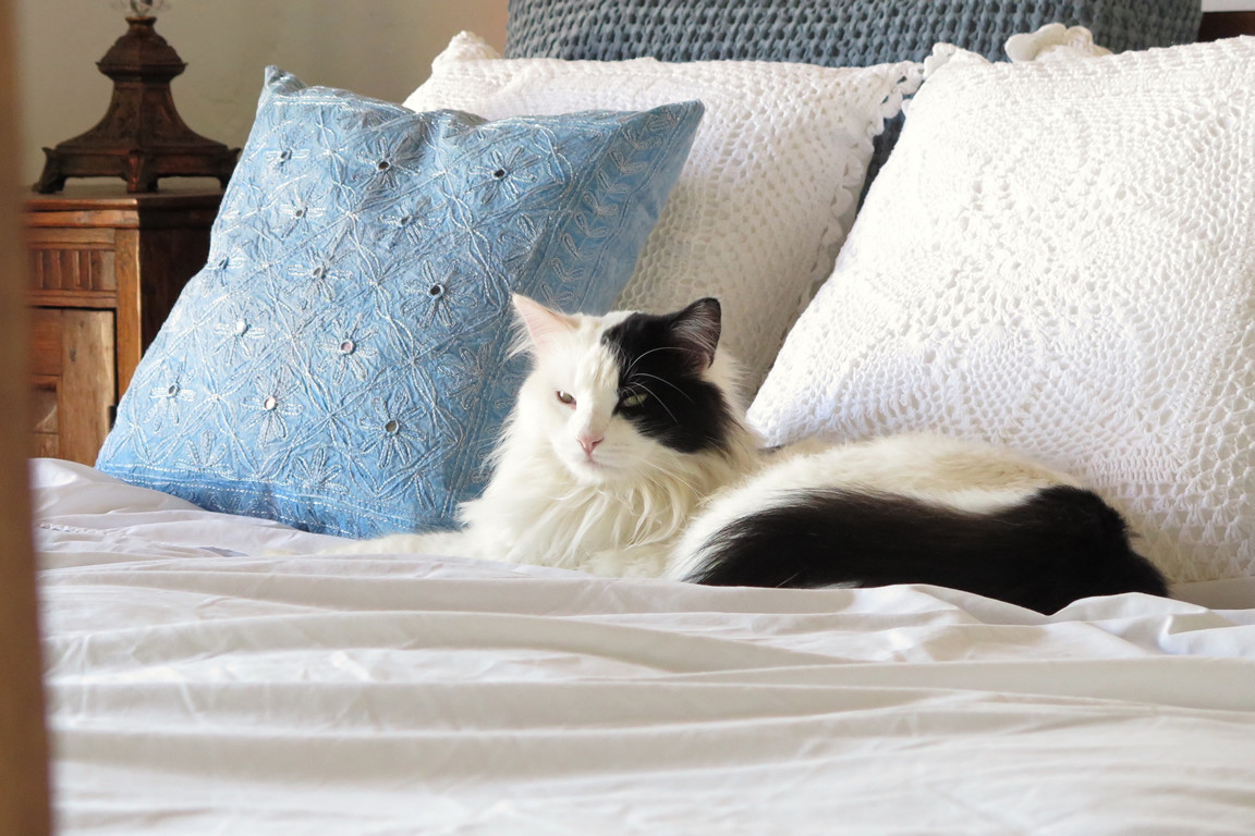 Cortijo for sale in Montellano