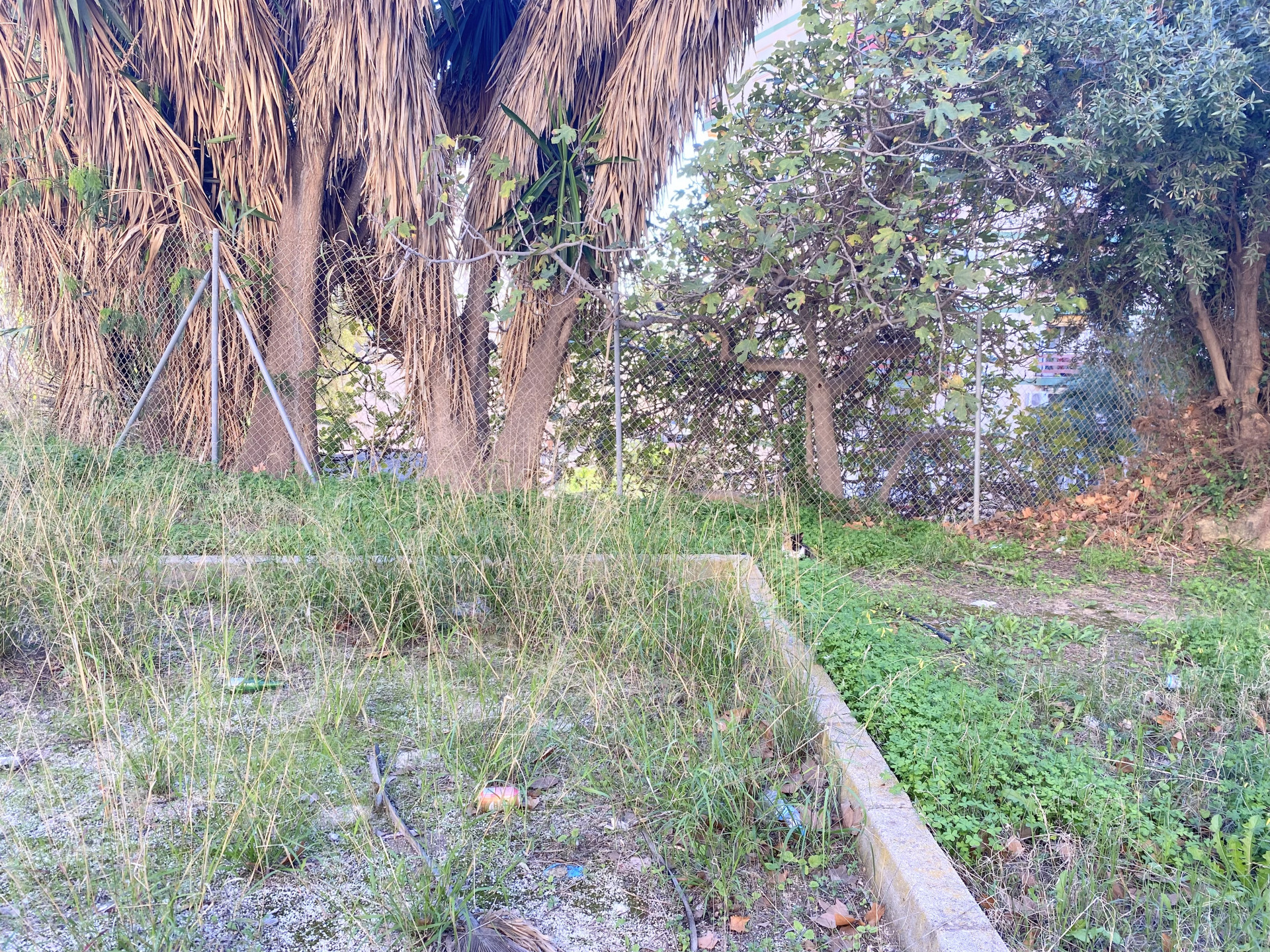 Plot Benalmadena CP6578