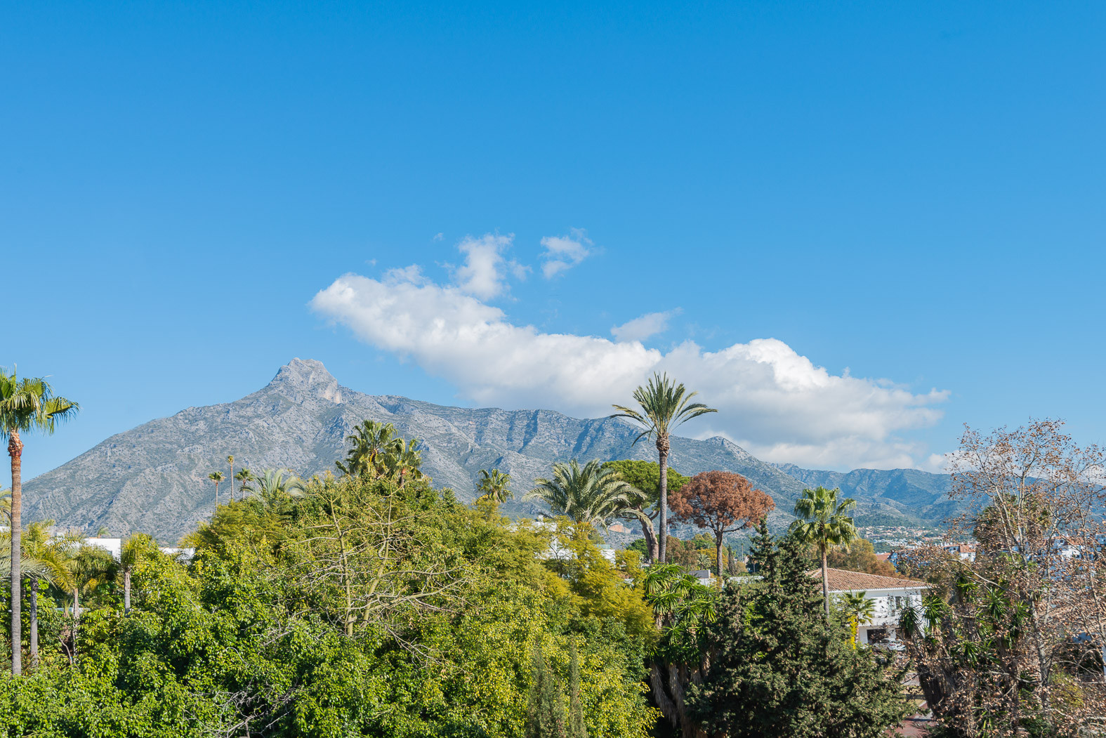 Apartment Marbella Golden Mile A1601