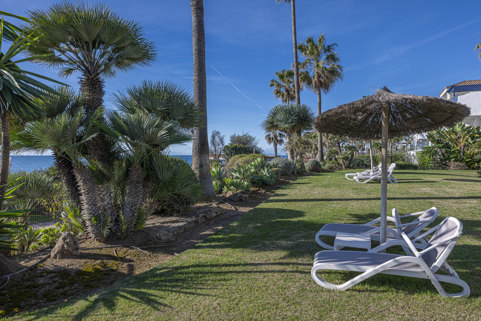 Image 2: Ground Floor Apartment For sale, Estepona, €2,500,000 [MPA6768]