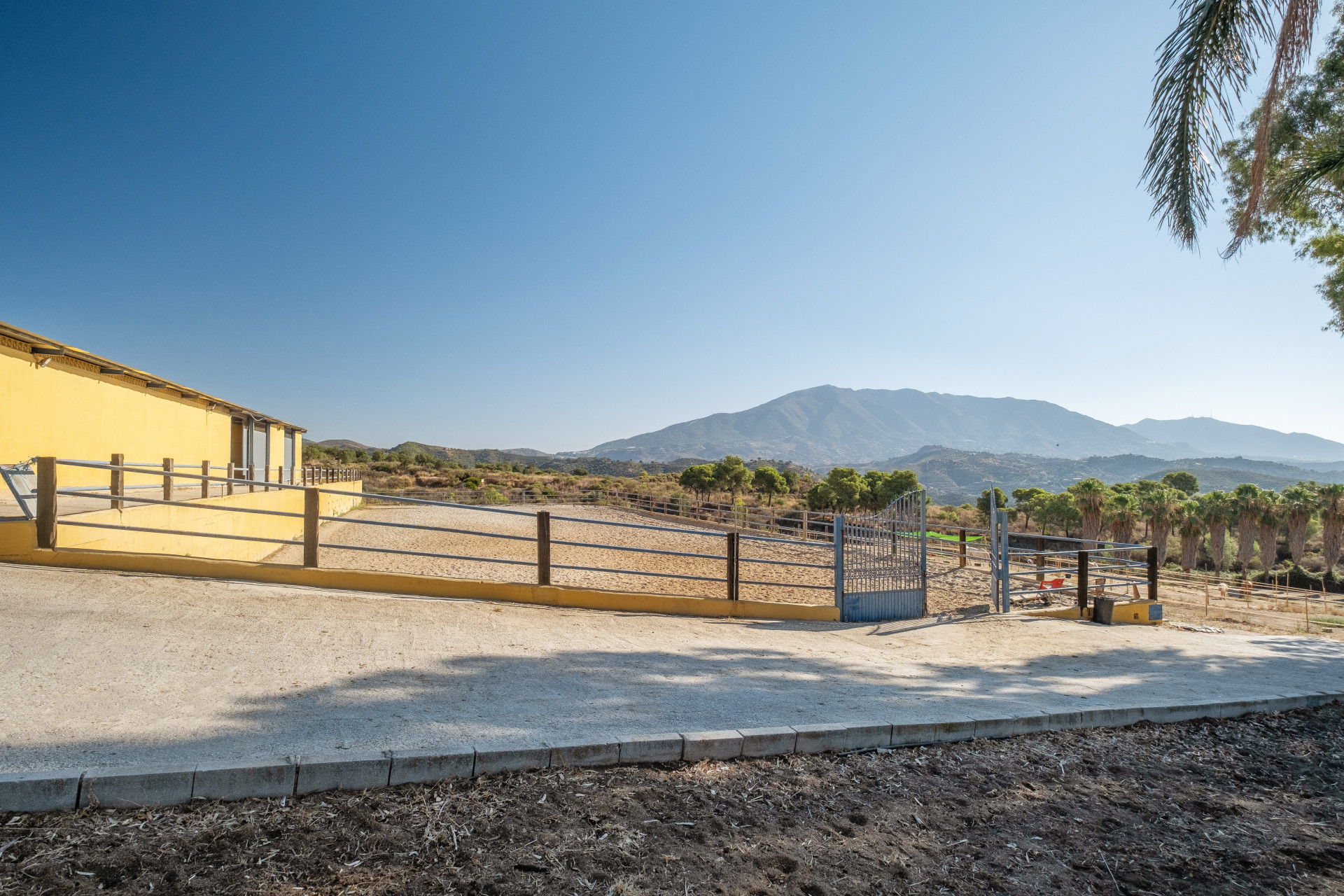 AMAZING EQUESTRIAN PROPERTY 15 MINUTES FROM THE BEACH — photo 10