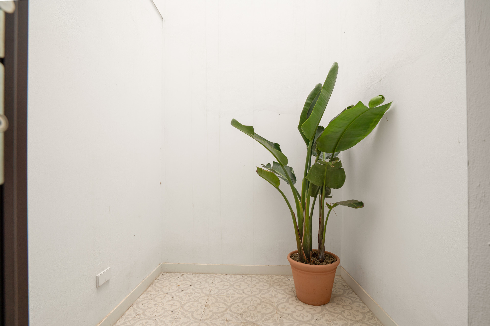 Beautifully Renovated 3-Bedroom Townhouse with Private Rooftop Solarium – Estepona Old Town, Just 80 Metres from the Beach — photo 11