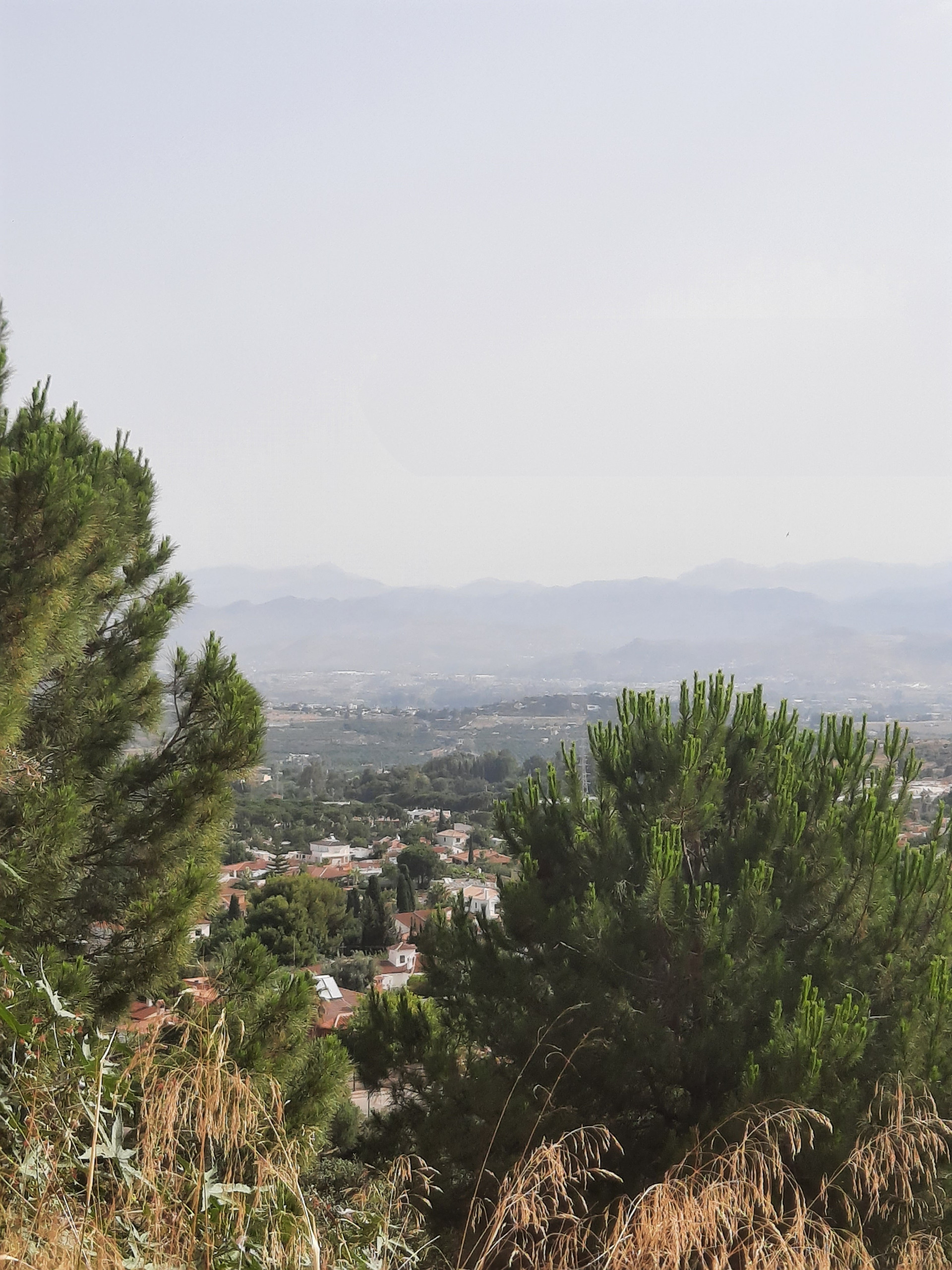 Grundstück in Alhaurin de la Torre – Titelbild