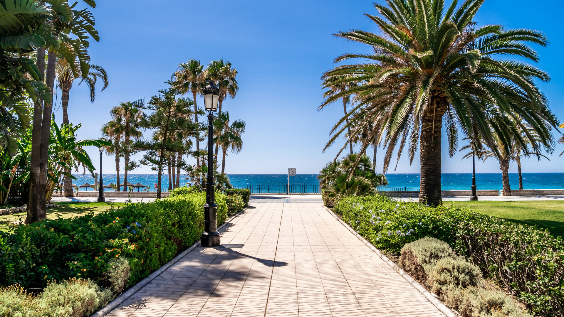 Brand-New Beachside Apartments for Sale in San Pedro Alcántara, Marbella – Sea Views & Modern Mediterranean Living