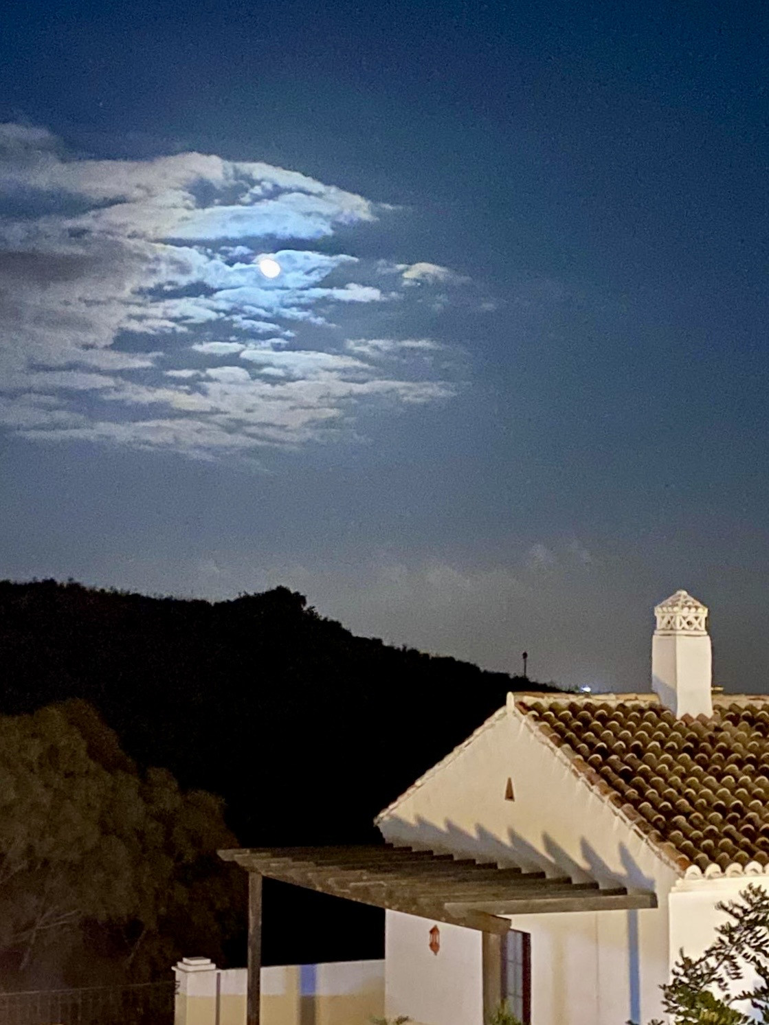 Rare opportunity ELEMENTS – Altos de Los Monteros / New construction from 2022, 1 room bijou 58m2 like first occupancy fully furnished with sea views