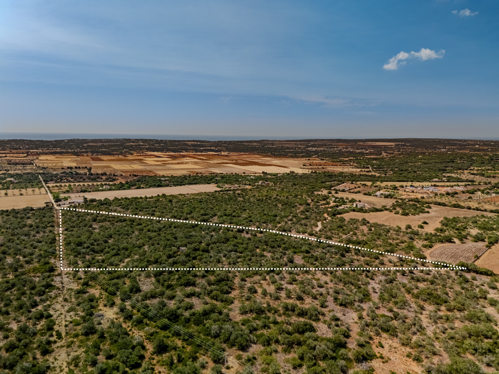 Parcela rústica en venta, con proyecto de obra y licencia incluidos en Santanyi