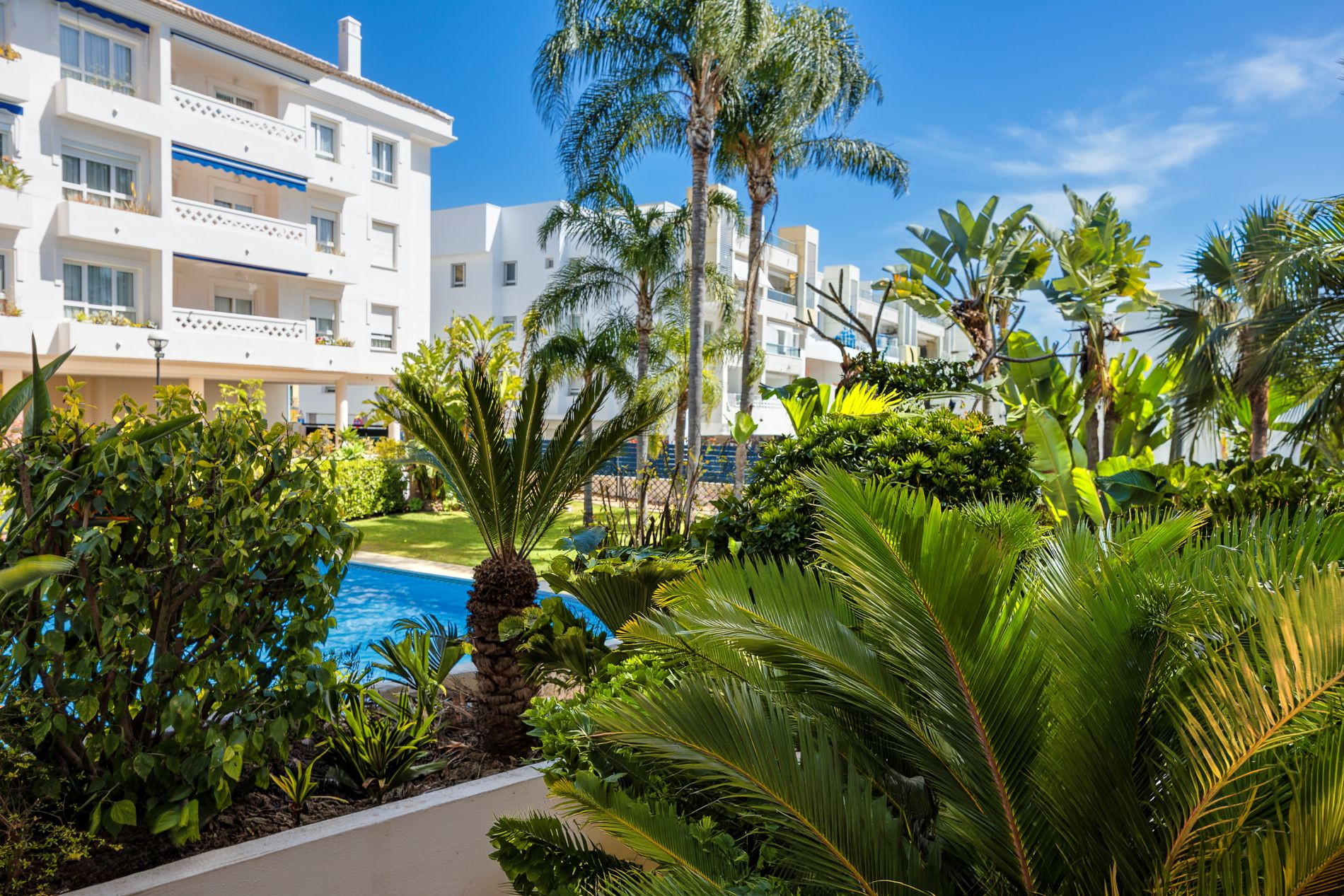Duplex penthouse in the best area of San Pedro de Alcántara – light, location and lifestyle