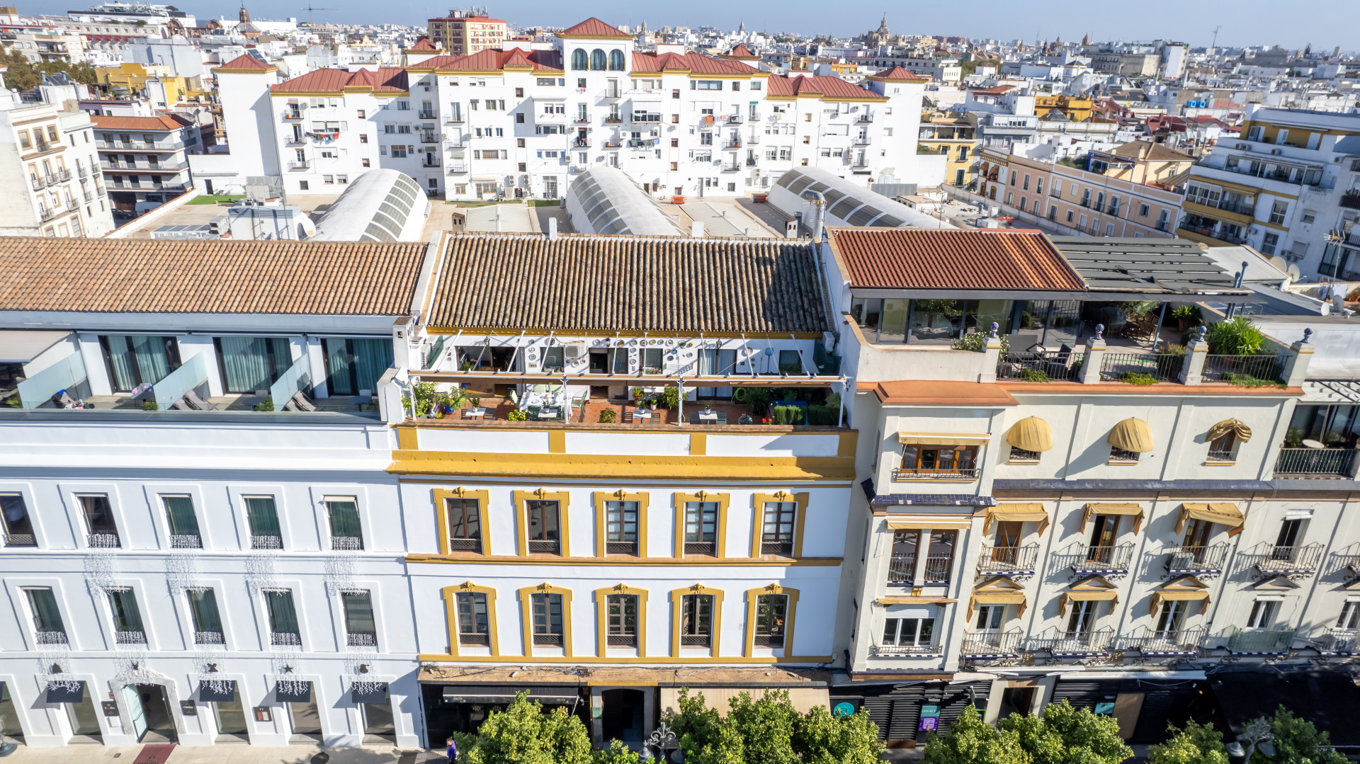 Prime heritage building on Paseo de Cristóbal Colón – historic center of Seville
