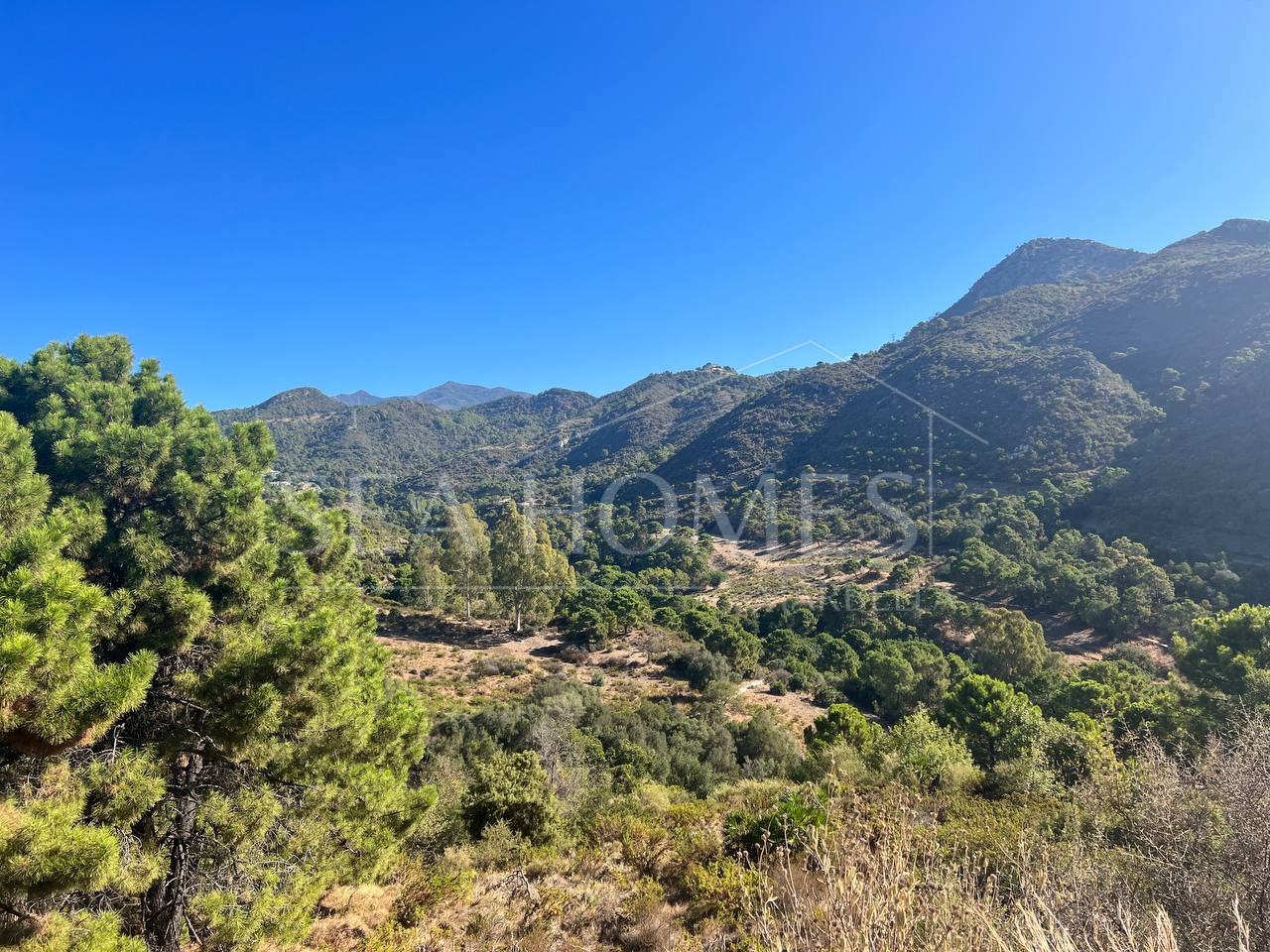 4300m2 Sale of Plot in Monte Mayor for $240,000