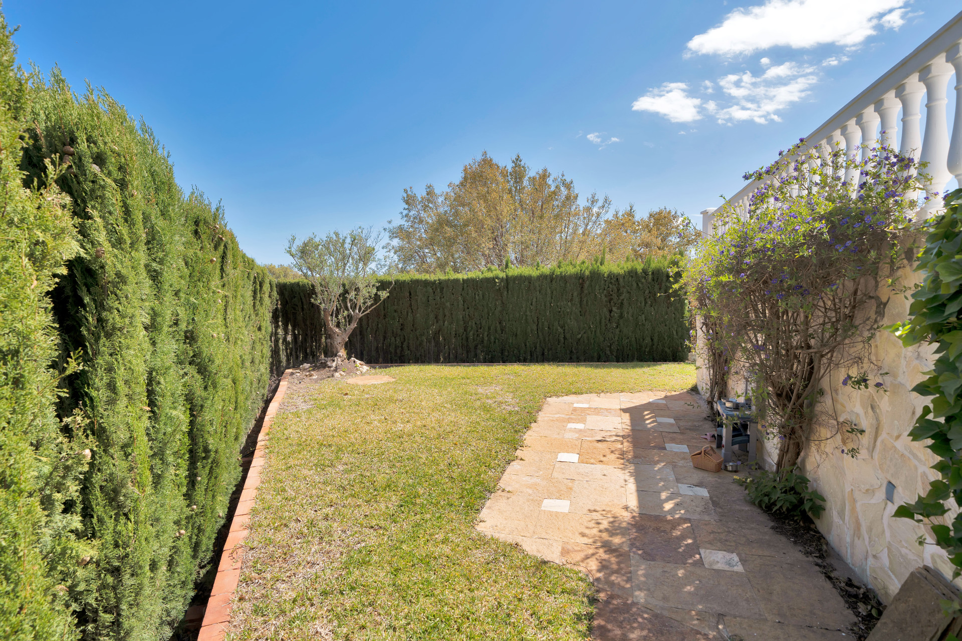 Recently Renovated semi-detached house in La Mairena surrounded by Nature! — photo 4