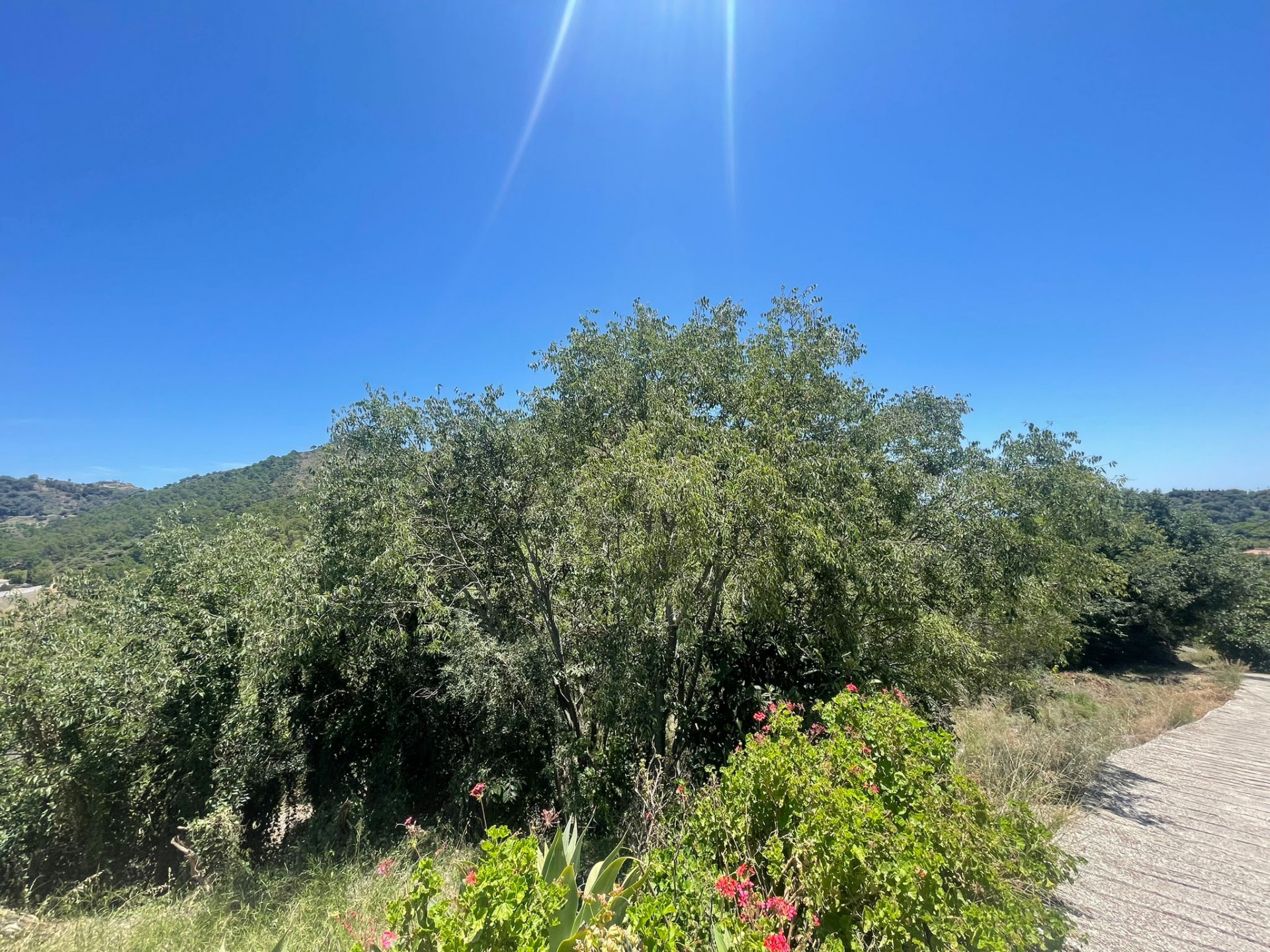 Prime Plot zu verkaufen in Ojen , Malaga