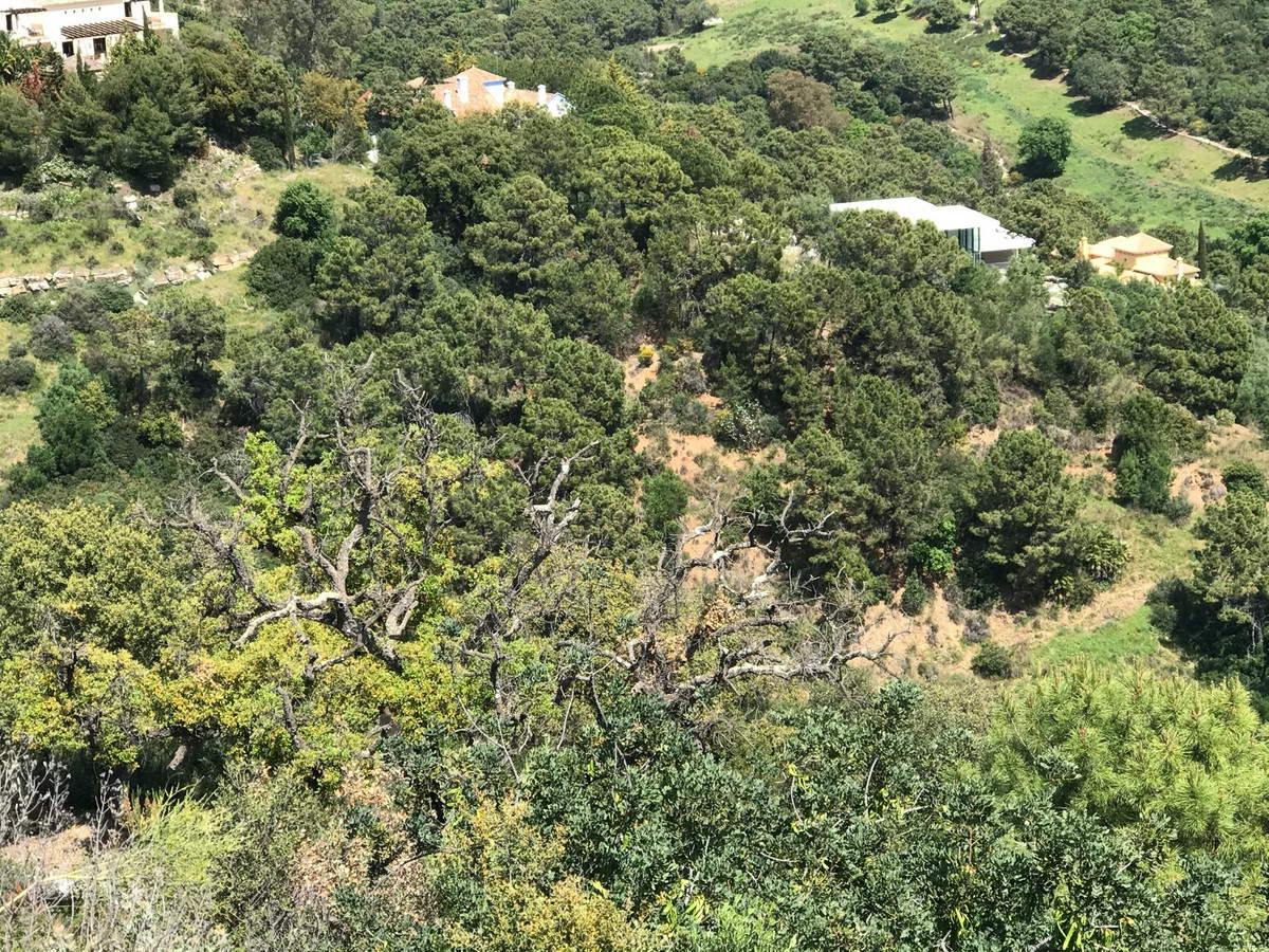 Beautiful plot in Montemayor, facing south