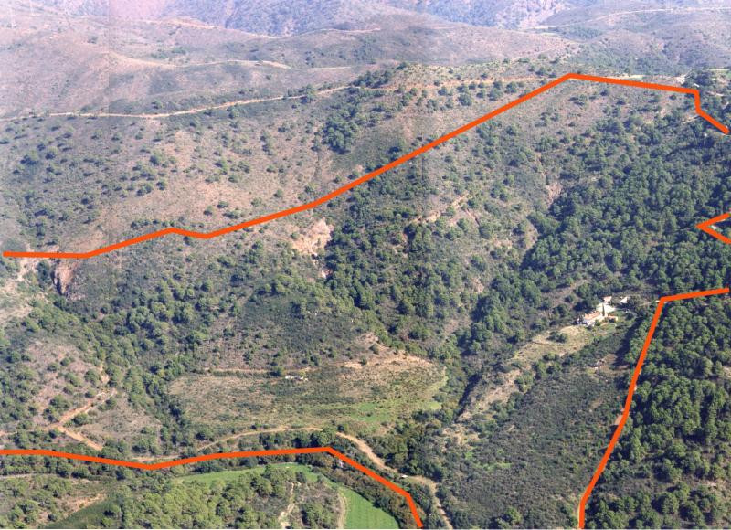 Magnificent Estate/Finca in Estepona -  Camino Nicola.