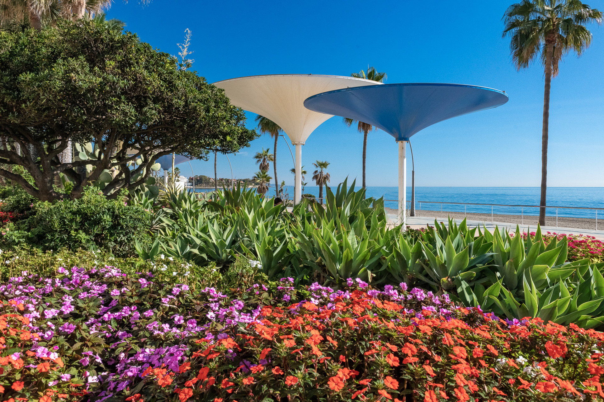 Exclusive 11-Bedroom Boutique Hotel in the Old Town of Estepona, just 2 minutes walking distance to the Beach.