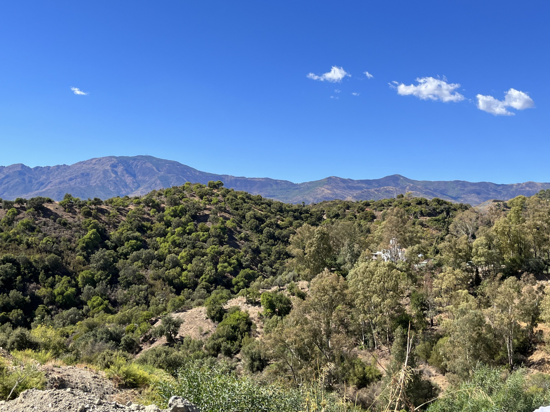 Qlistings - Prime Plot Location with Panoramic Views for Sale on Estepona's New Golden Mile Property Image