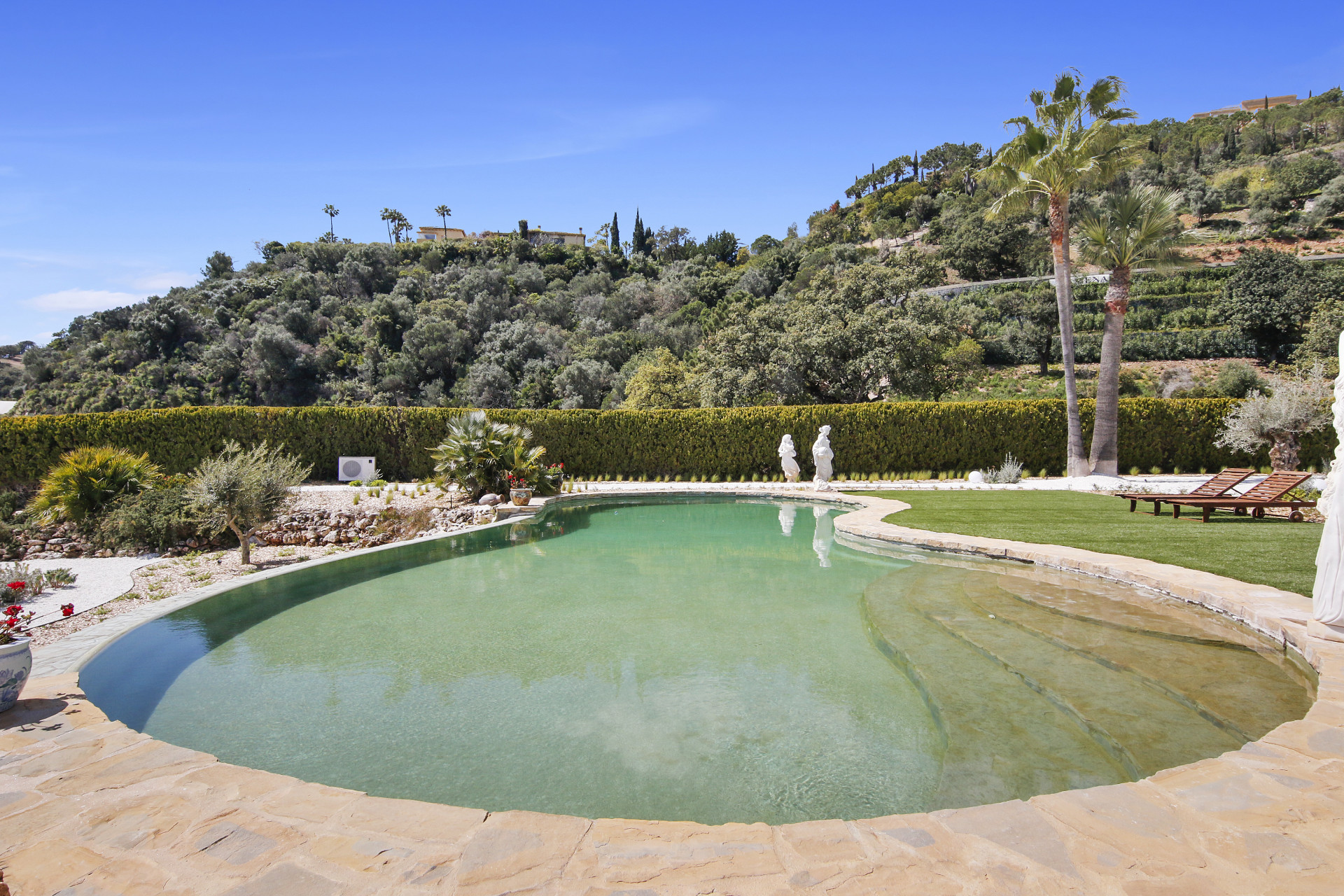 property_image