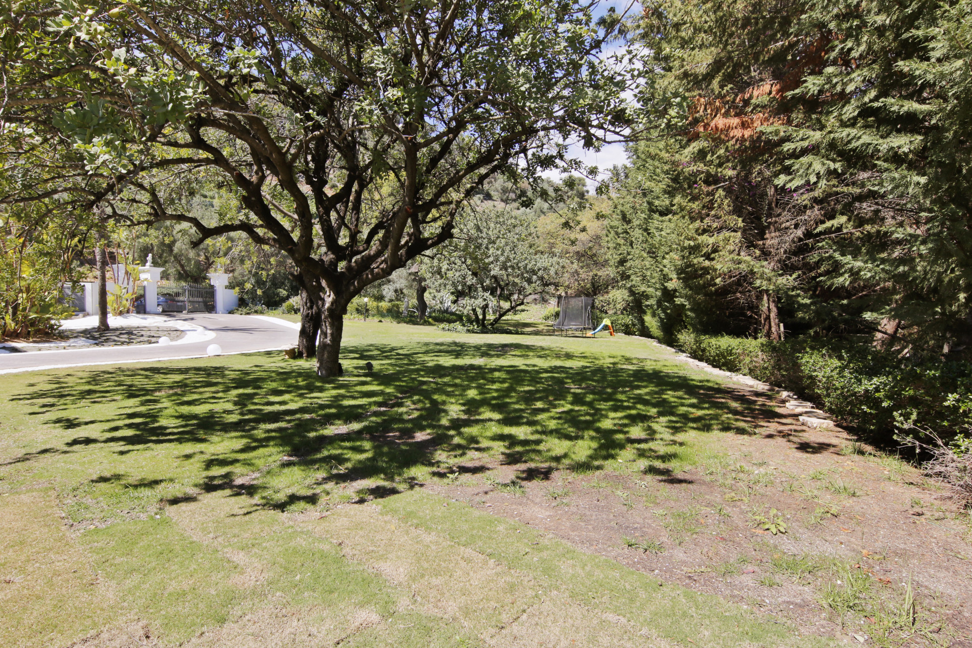 property_image