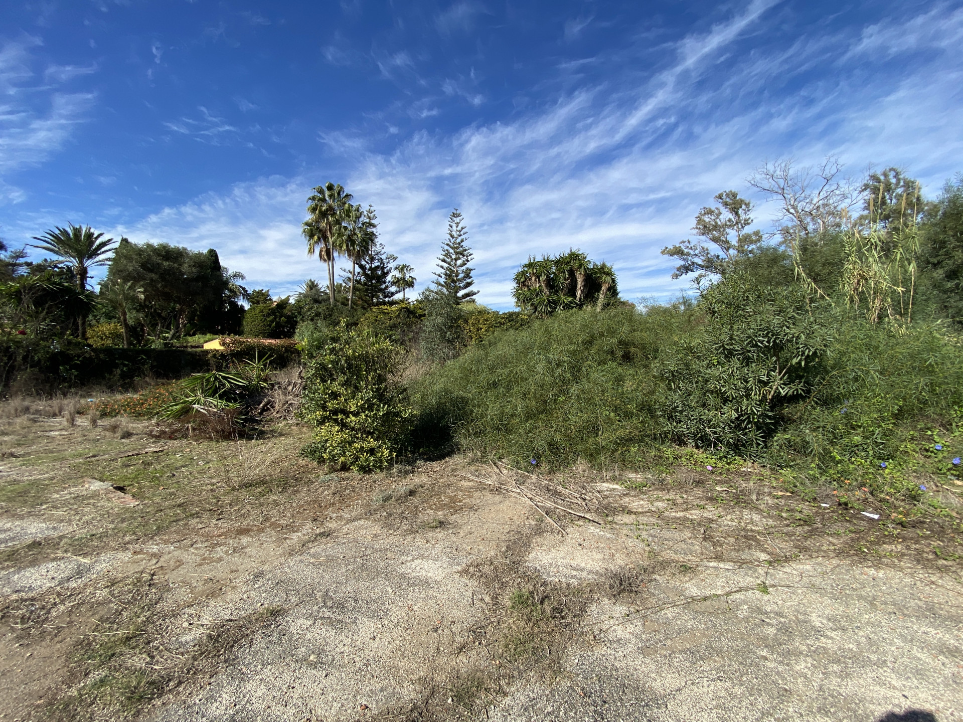 property_image