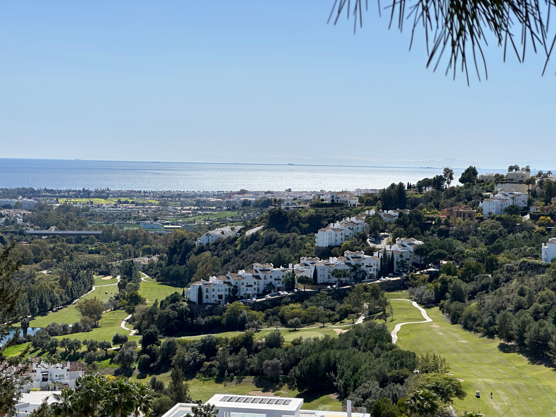 Madroñal View: Hope