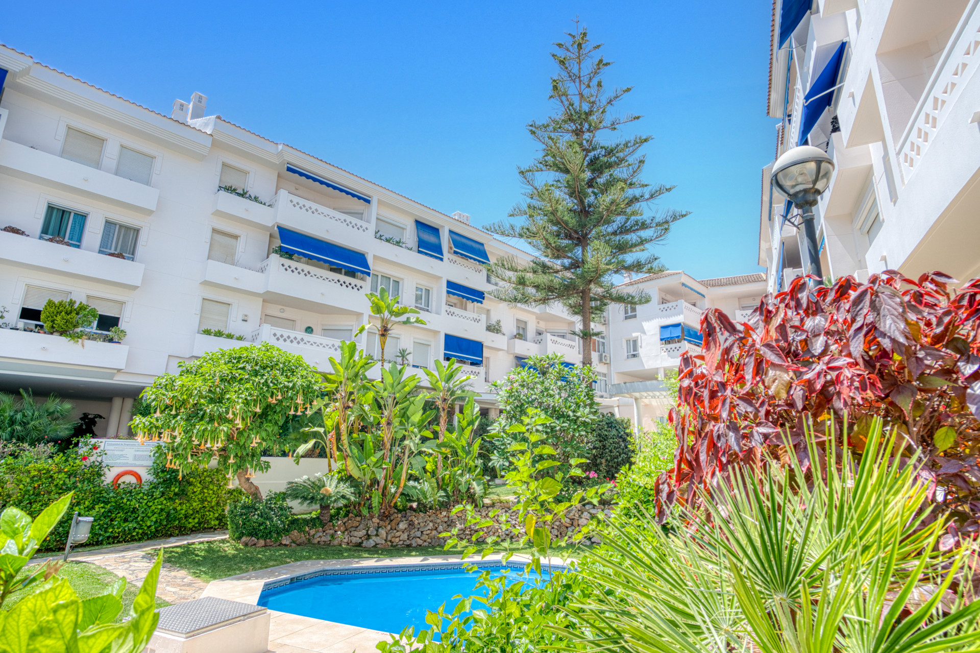 продажа. Квартира в San Pedro Alcántara
