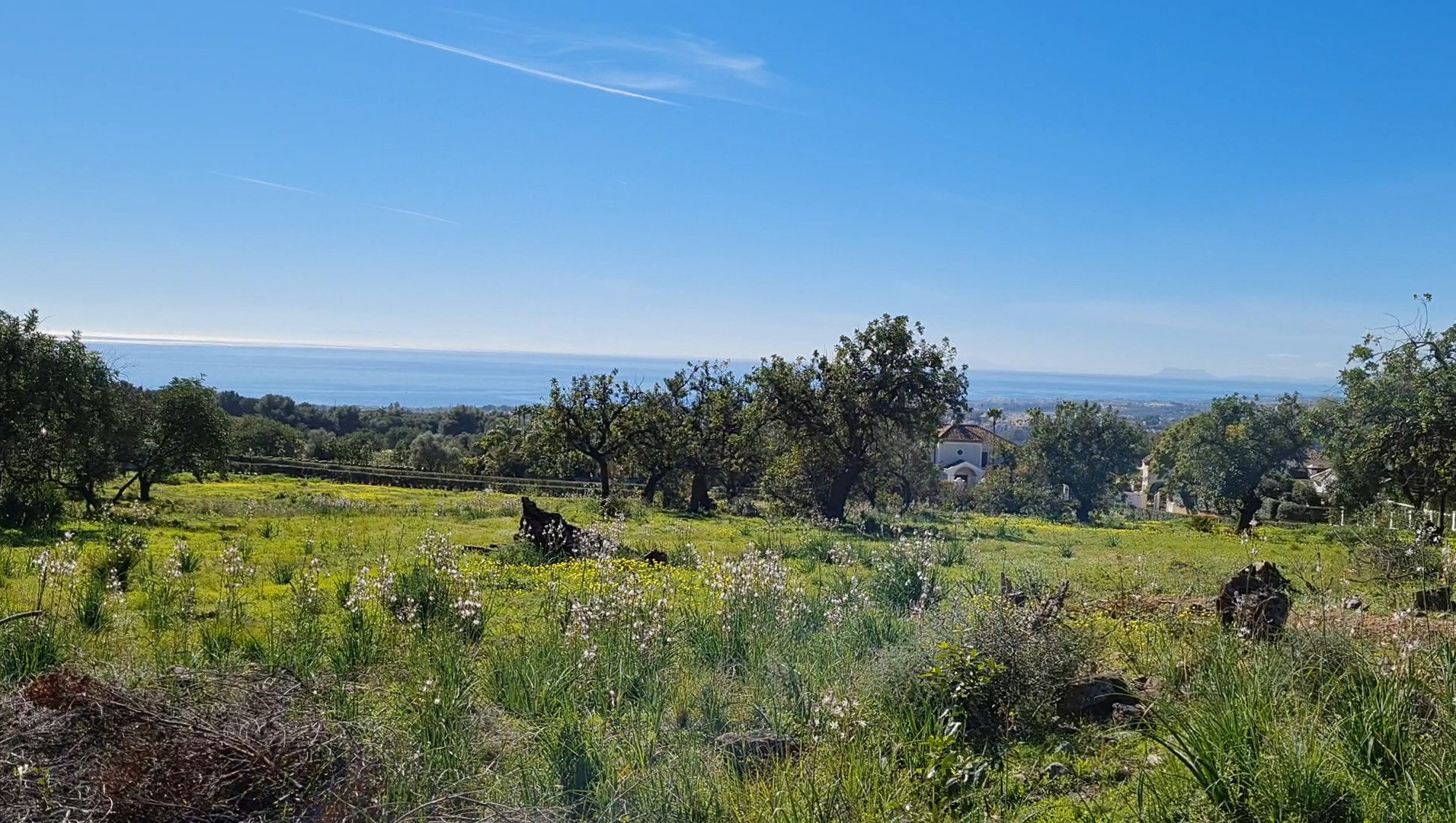 Plot Sierra Blanca