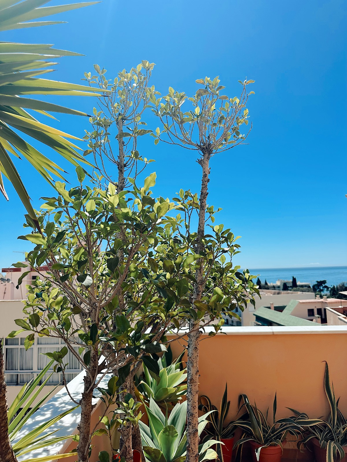 Penthouse with sea views in Marbella Centro, beach area