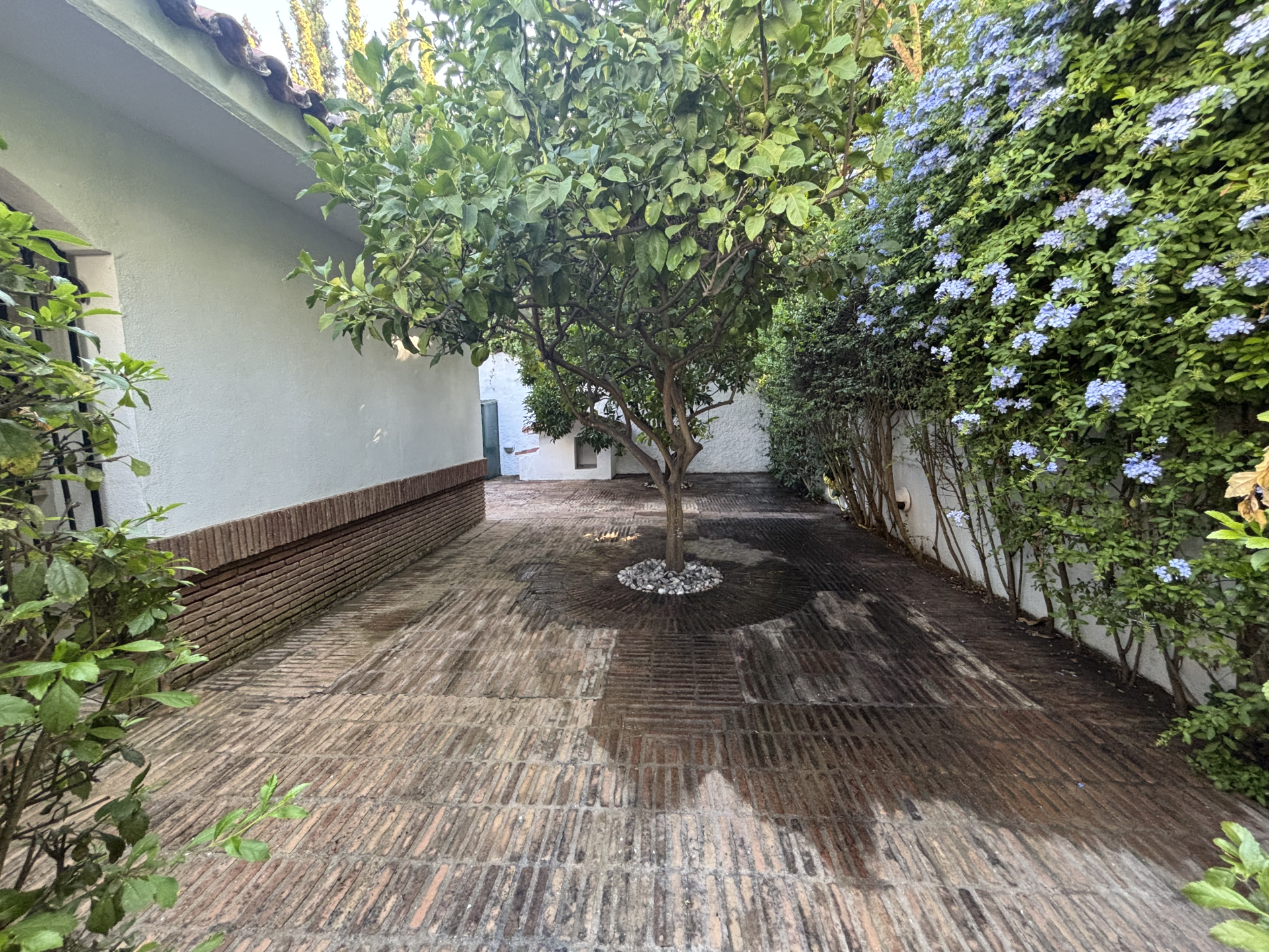 villa in Marbella Este — frame 8