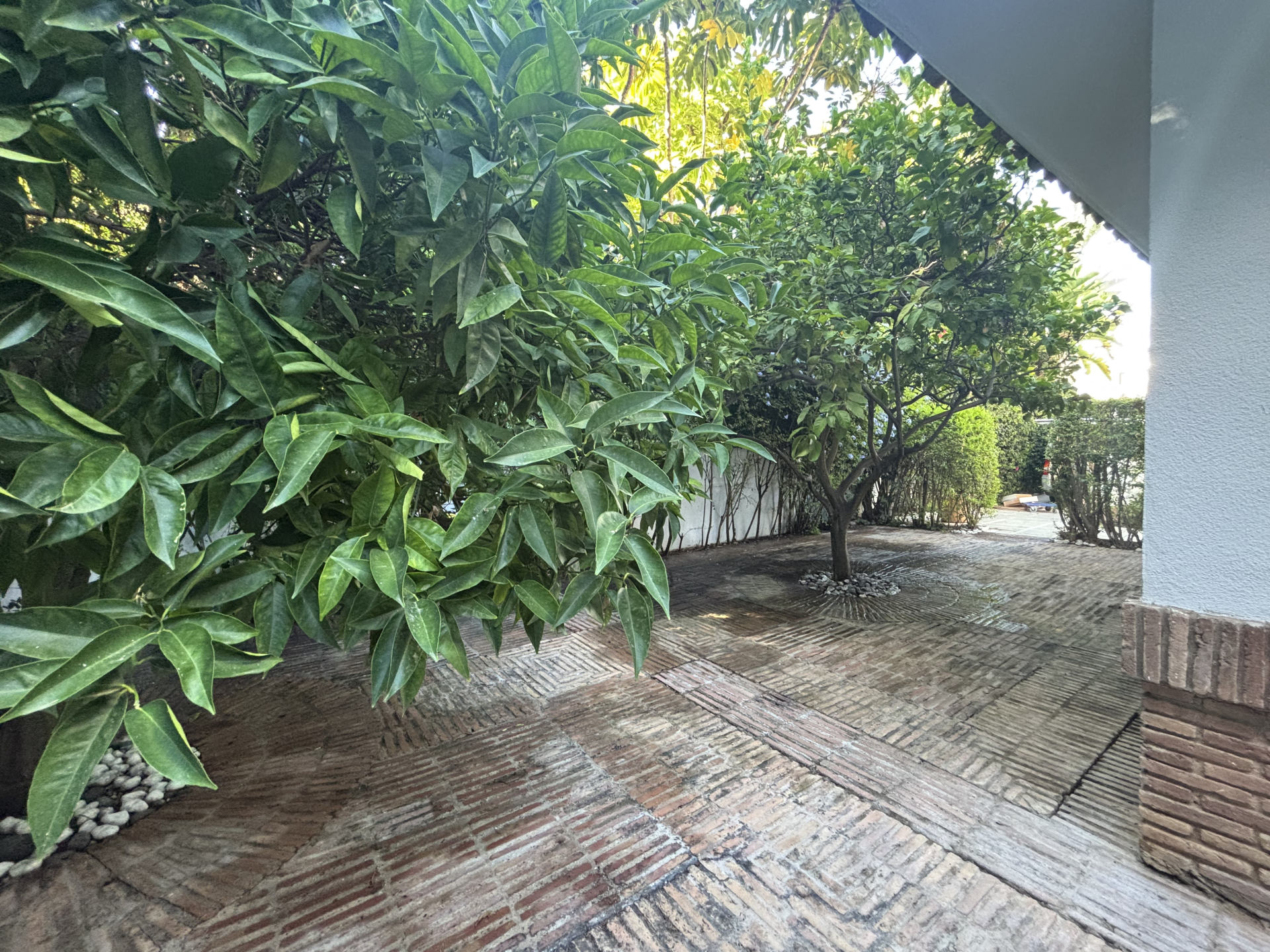 villa in Marbella Este — frame 9