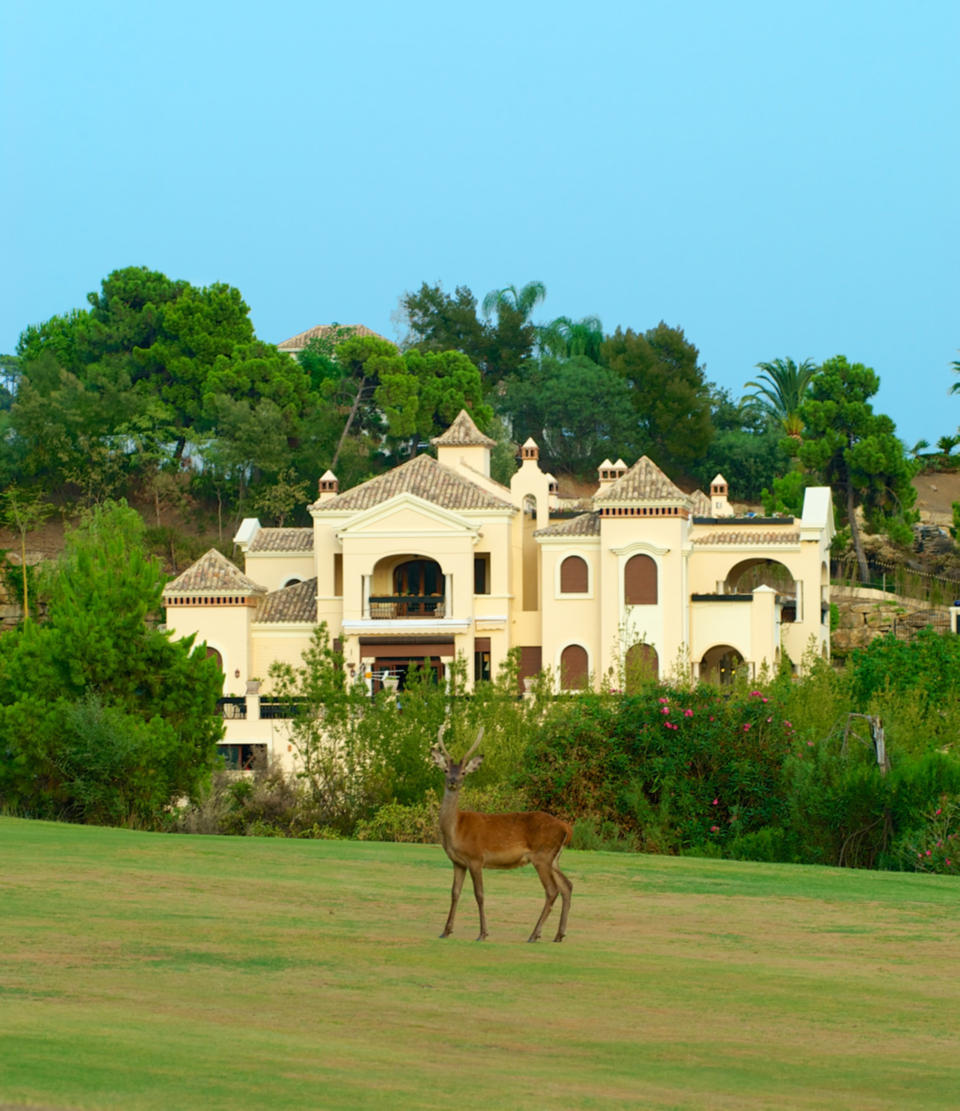 Spectacular mansion in La Zagaleta