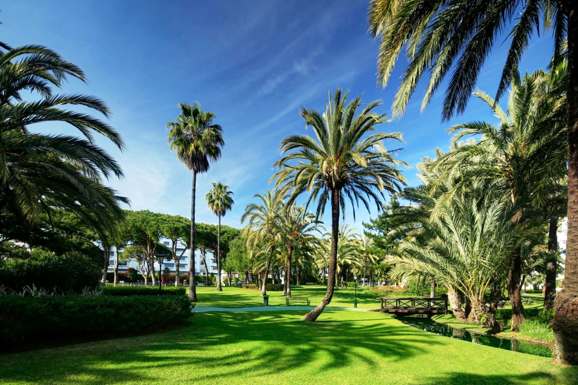 Fabuloso estudio en el corazón de Puerto Banús.