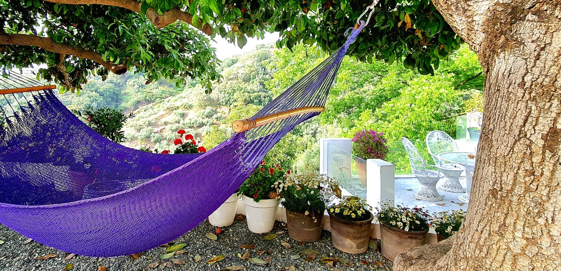 Villa de ensueño rodeada de naturaleza.