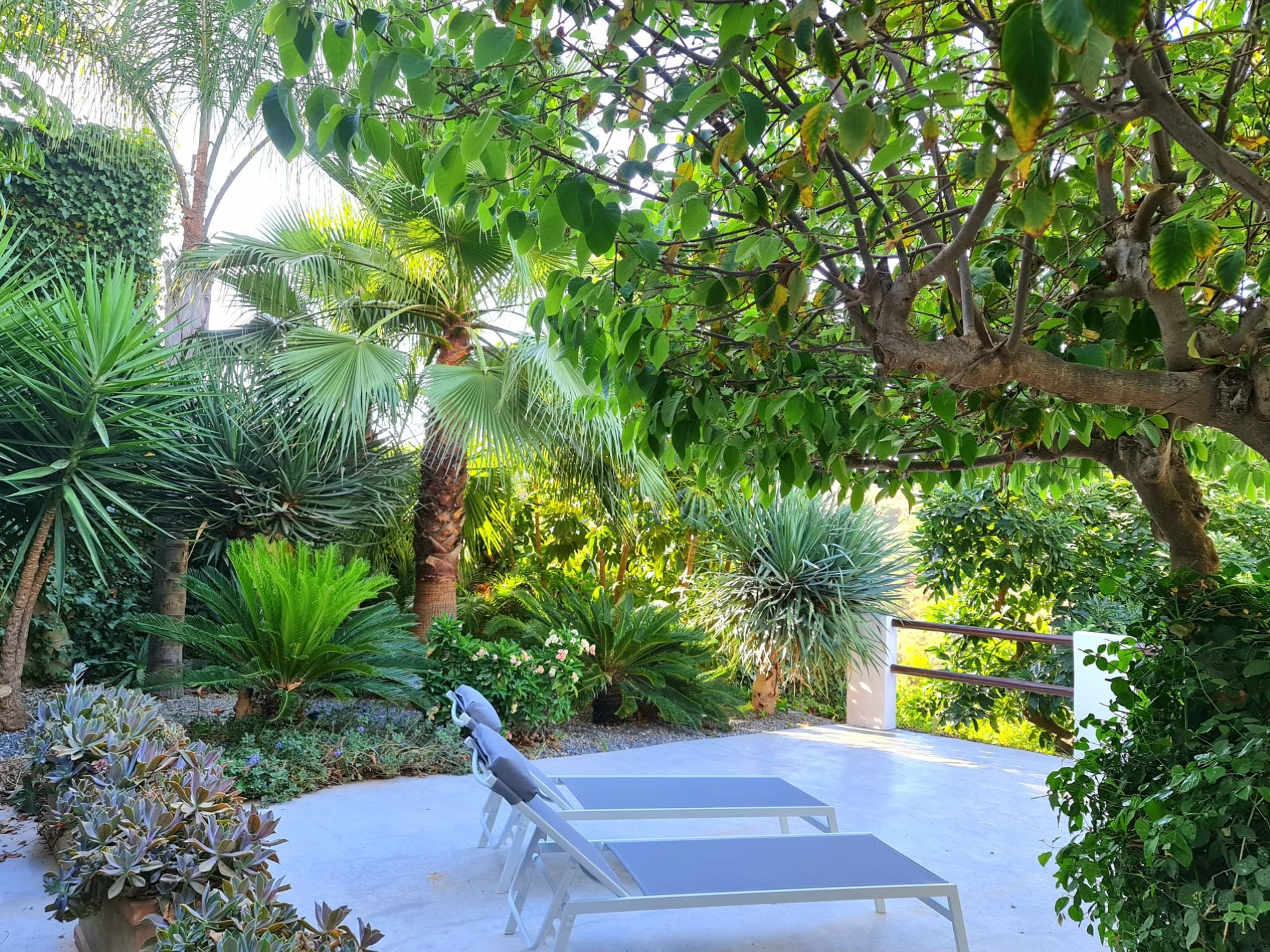 Villa de ensueño rodeada de naturaleza.