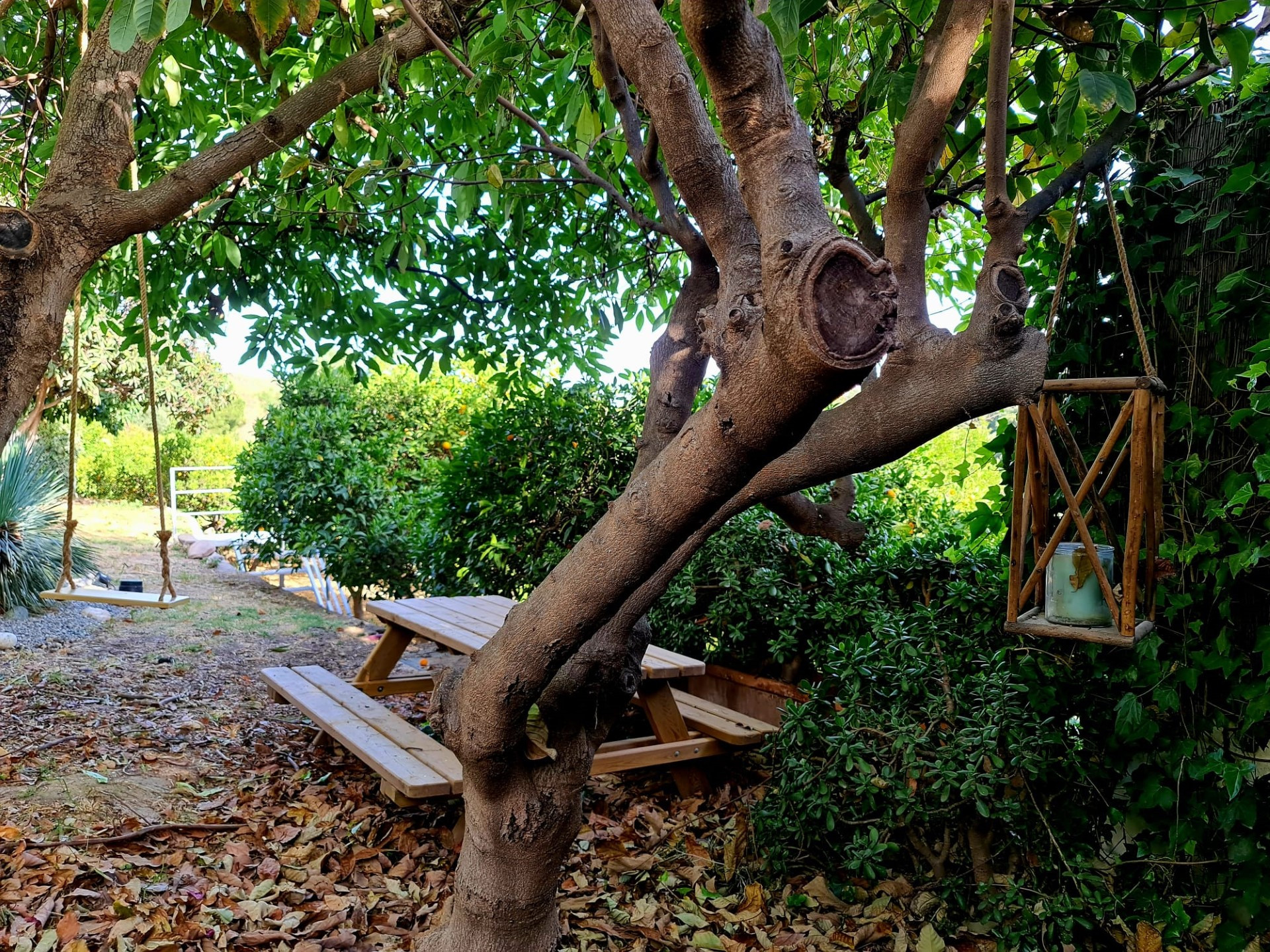 Villa de ensueño rodeada de naturaleza.