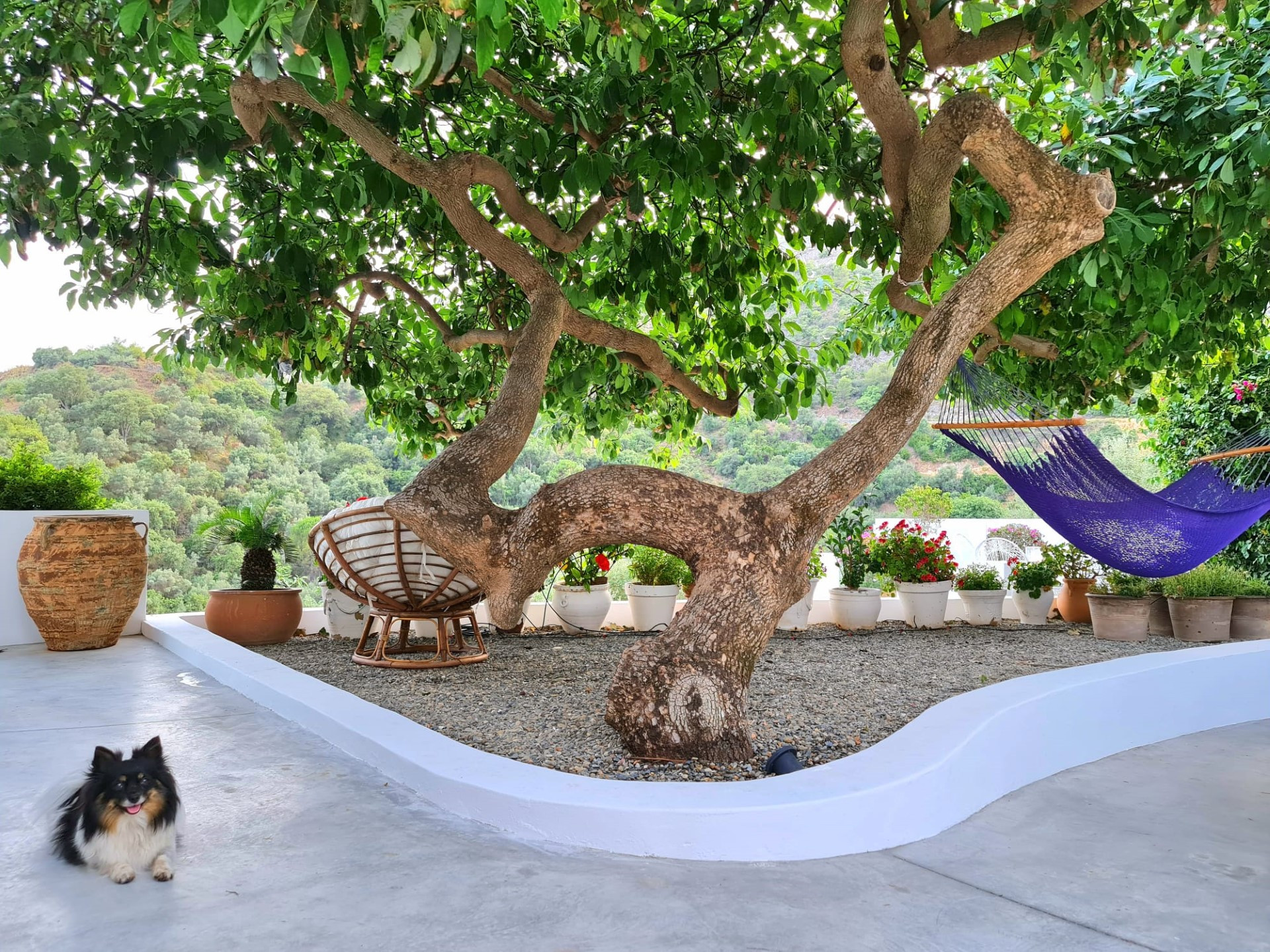 Villa de ensueño rodeada de naturaleza.