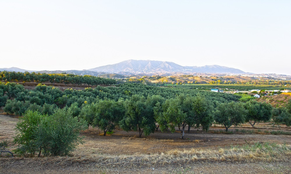 Plots for independent villas with golf and mountain views in La Cala Golf, Mijas Costa