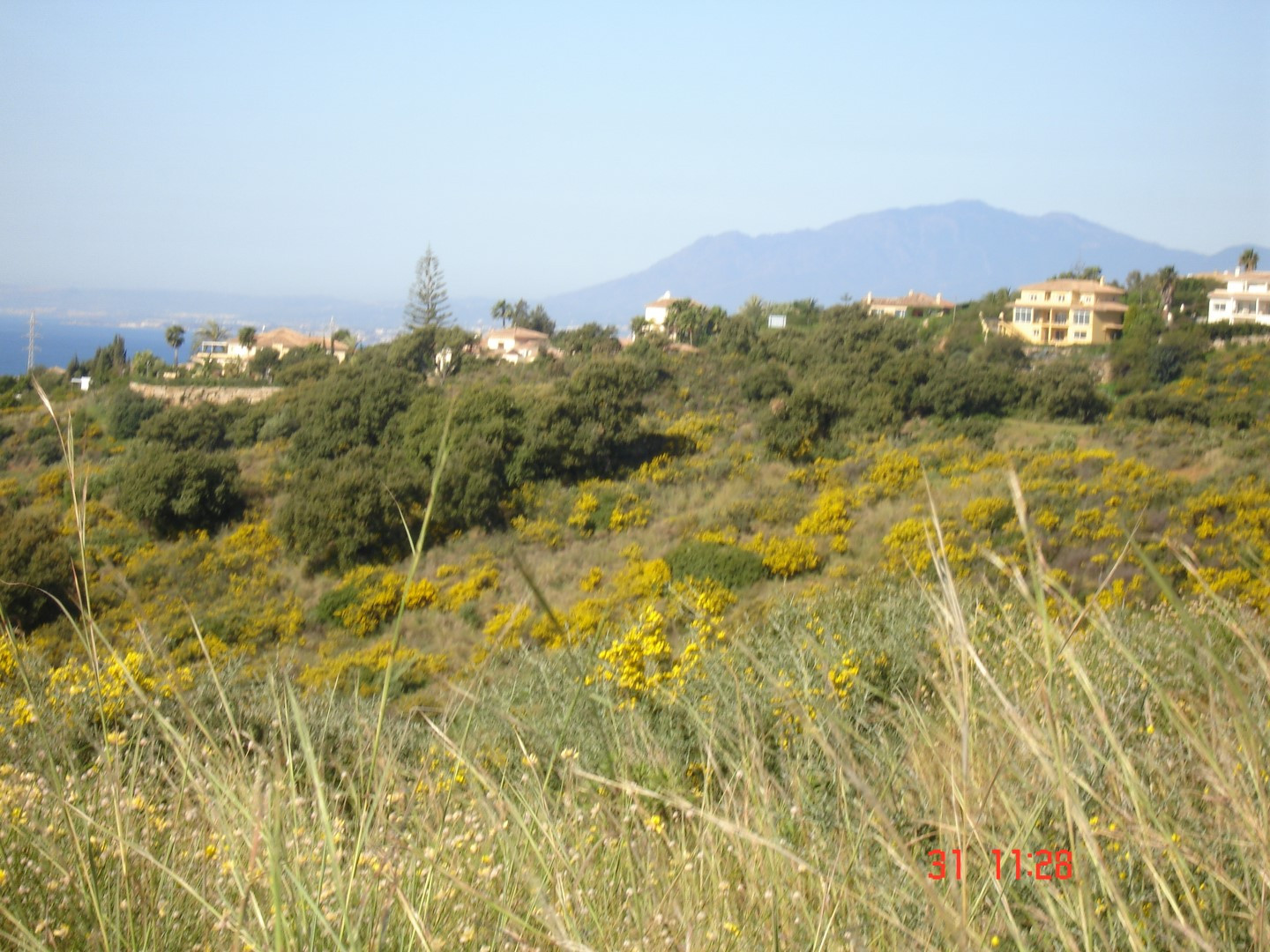 Amplísima parcela con vistas al mar en Las Chapas, Marbella Este