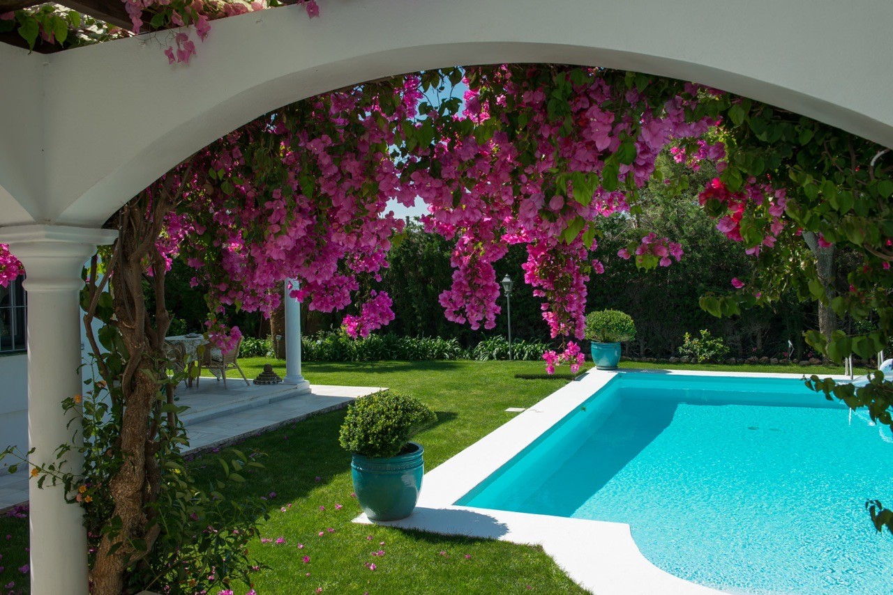 Charming villa with guest house in Rocio Nagueles